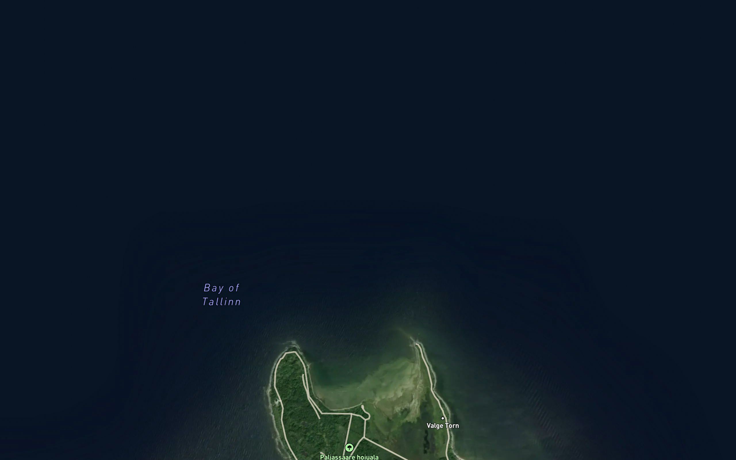 Paljassaare Kari