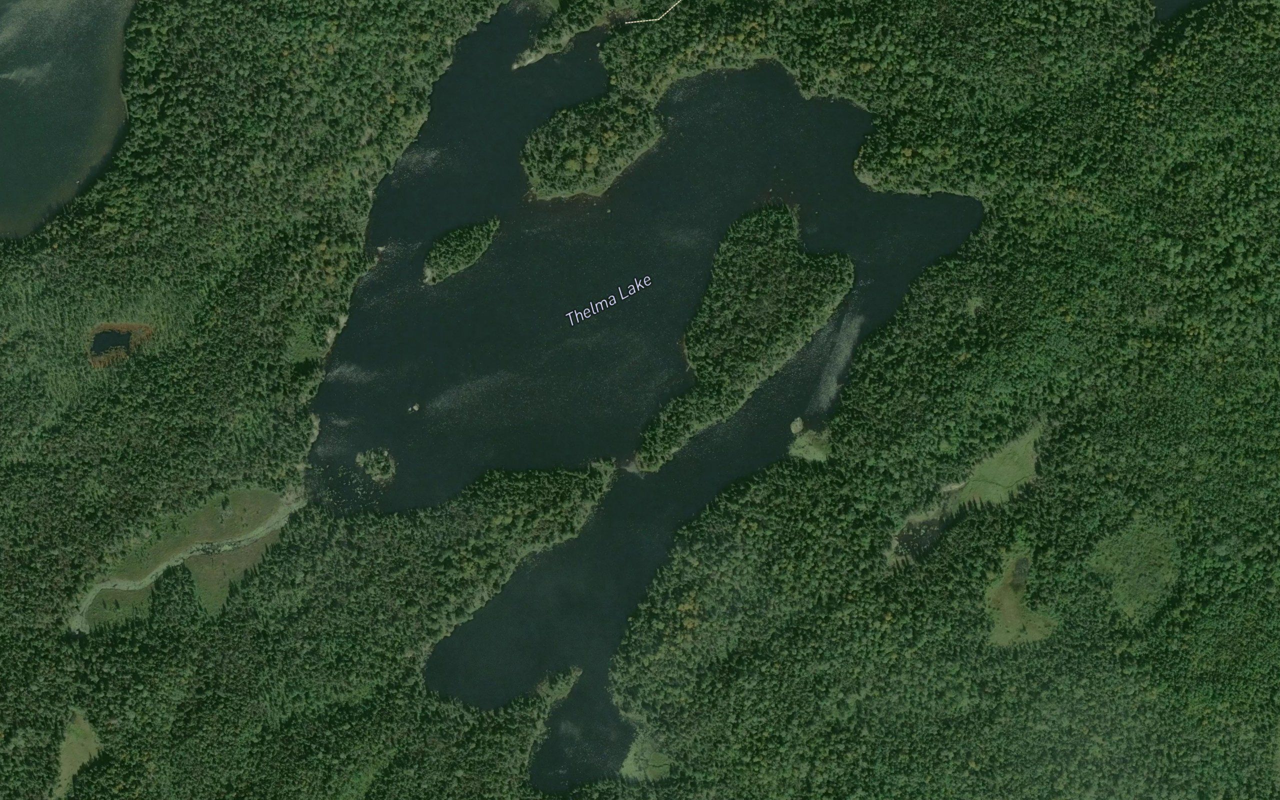 Thelma Lake
