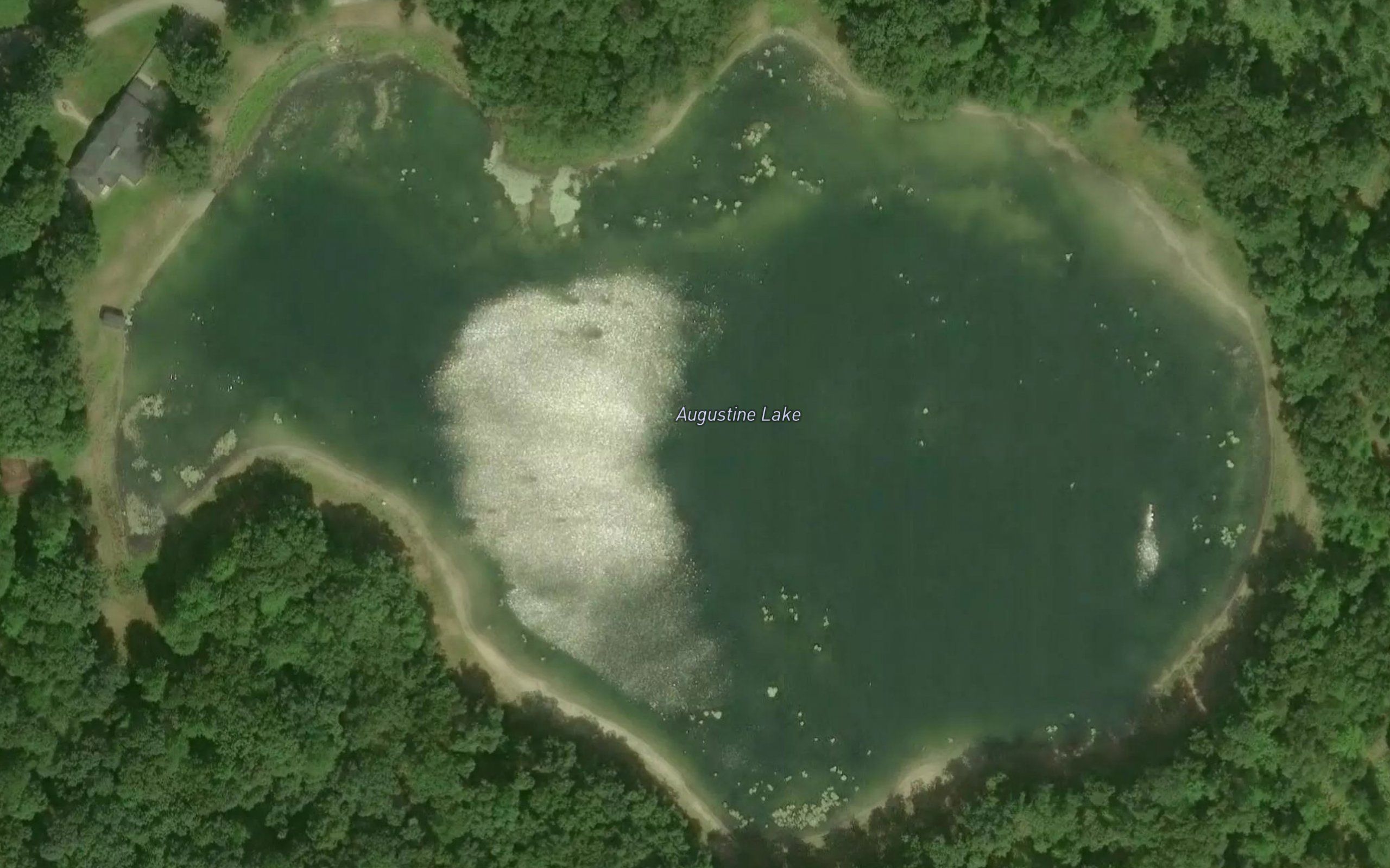 Augustine Lake