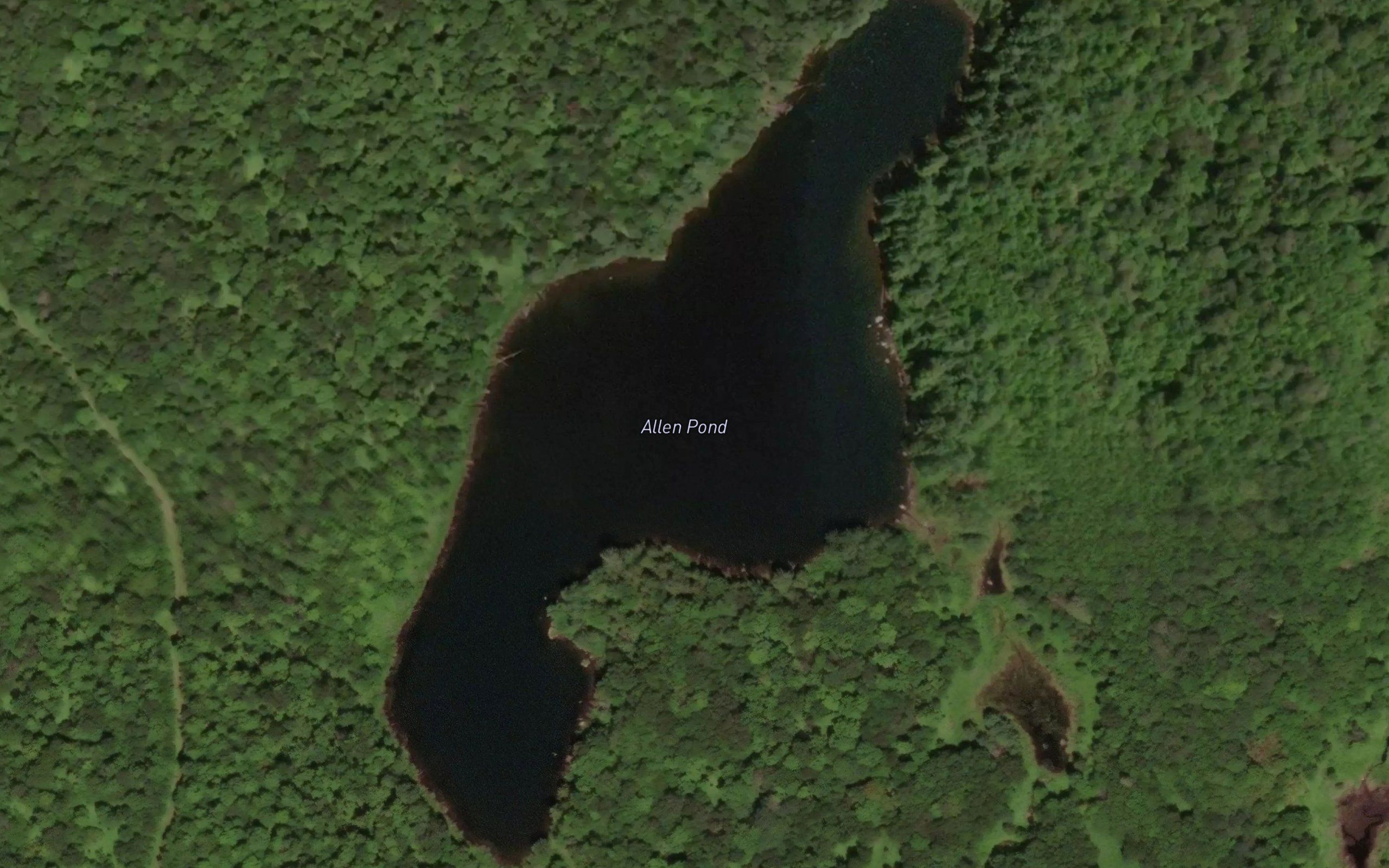 Allen Pond
