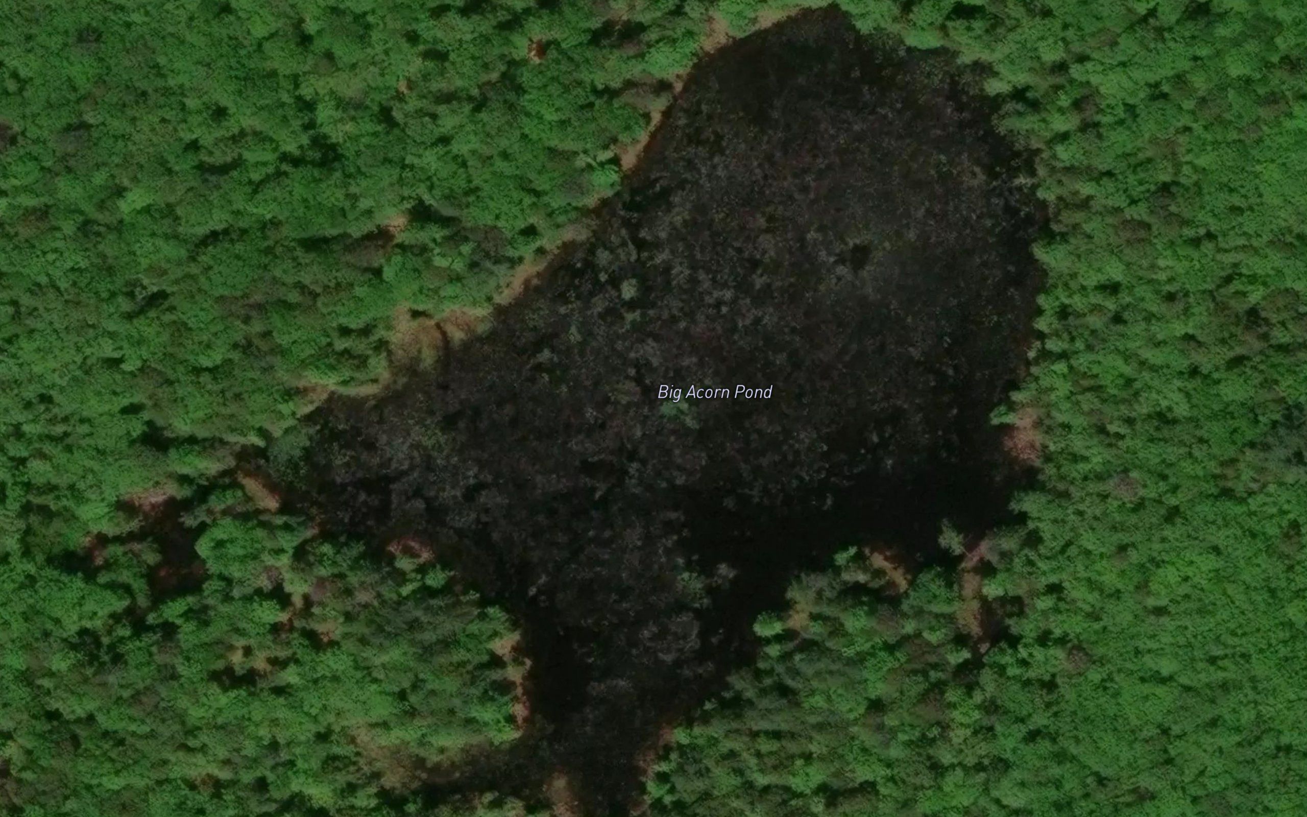 Big Acorn Pond