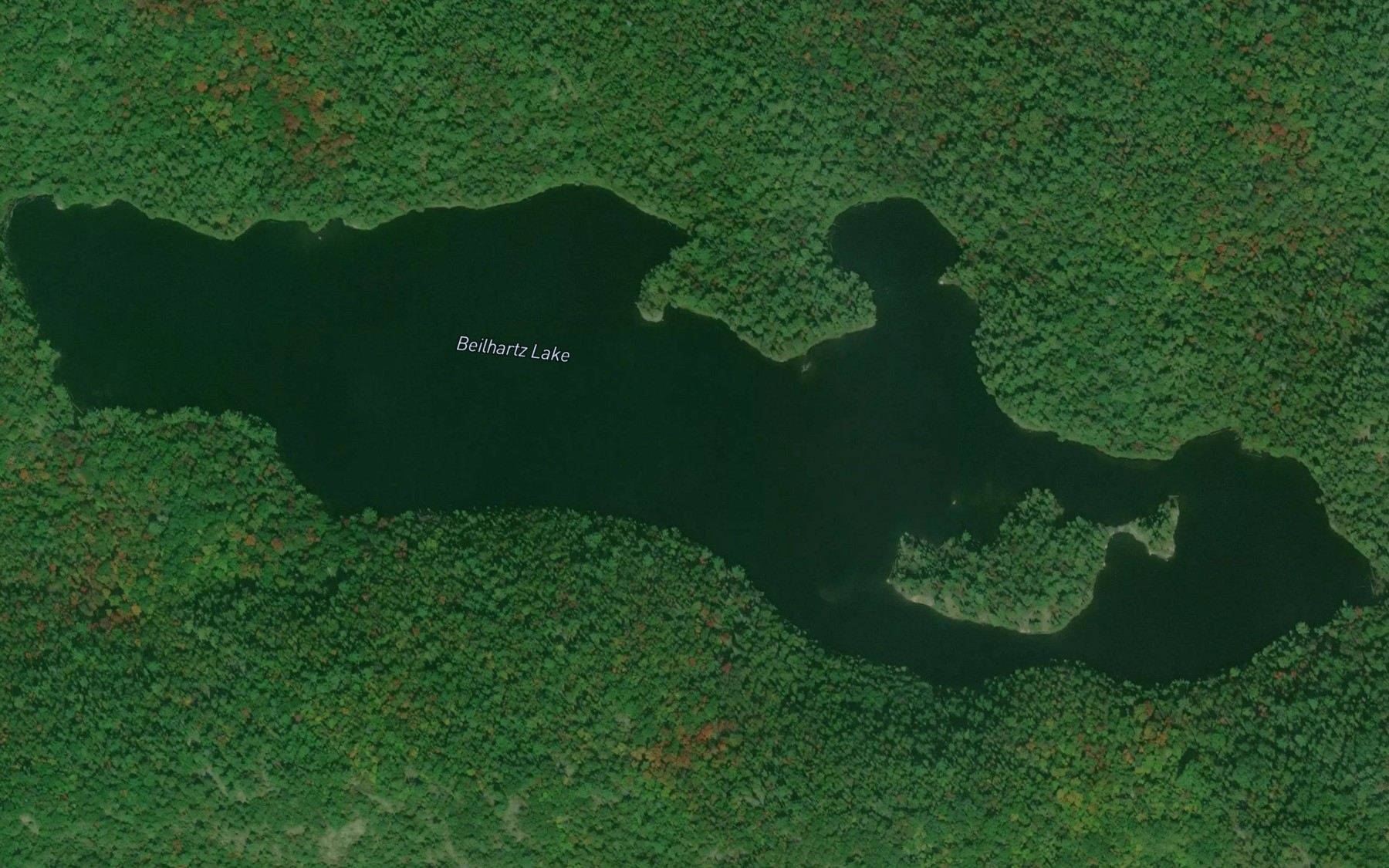 Satellite map of the Beilhartz Lake