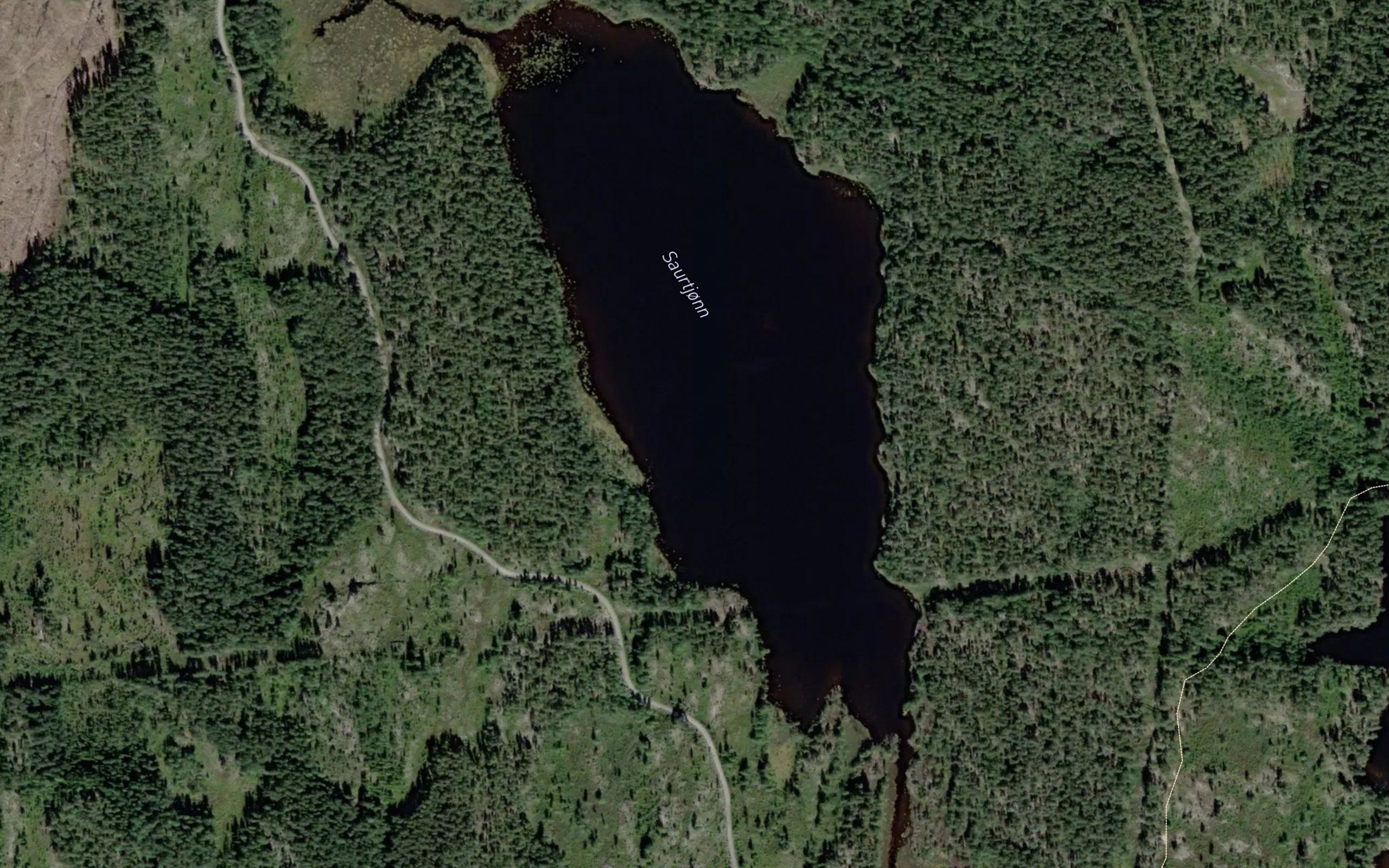 Saurtjorn