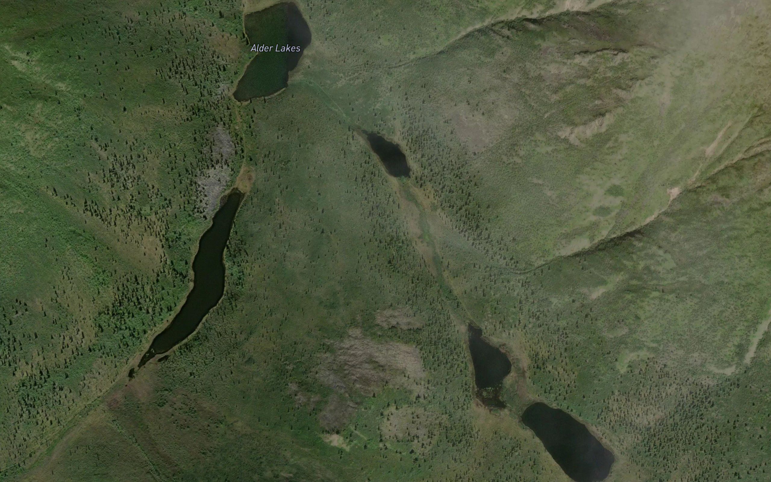 Alder Lakes