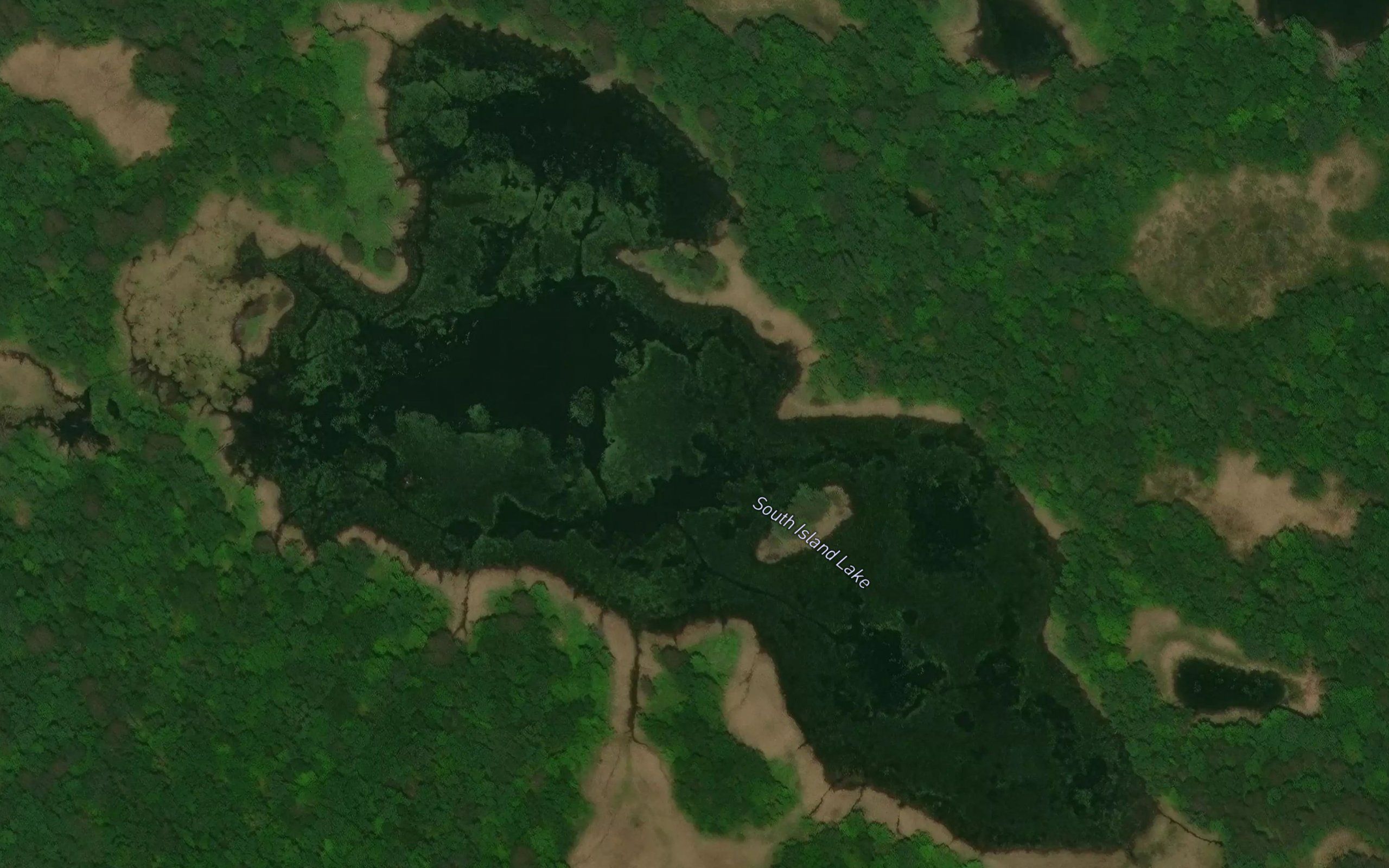South Island Lake