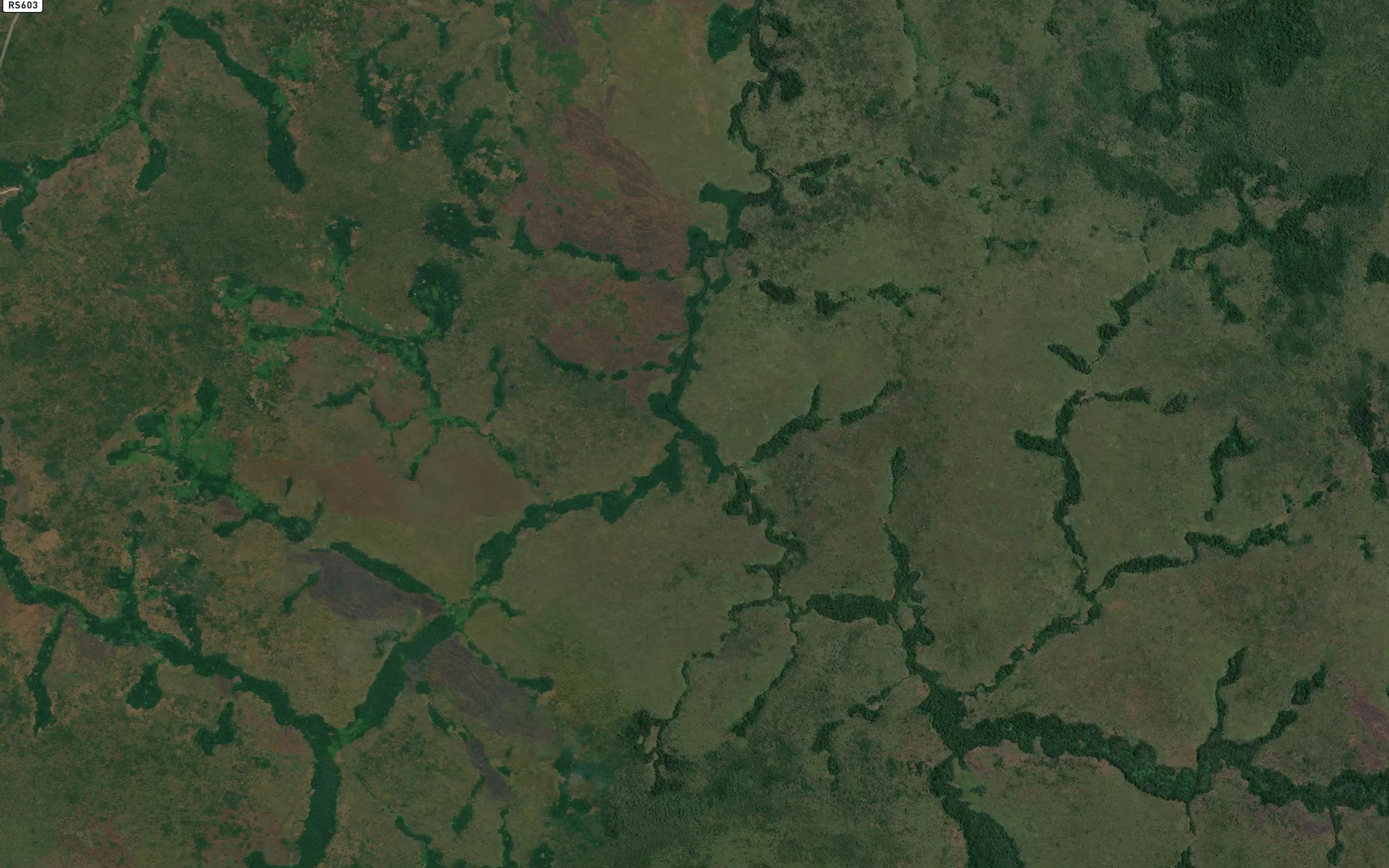 Kambalu