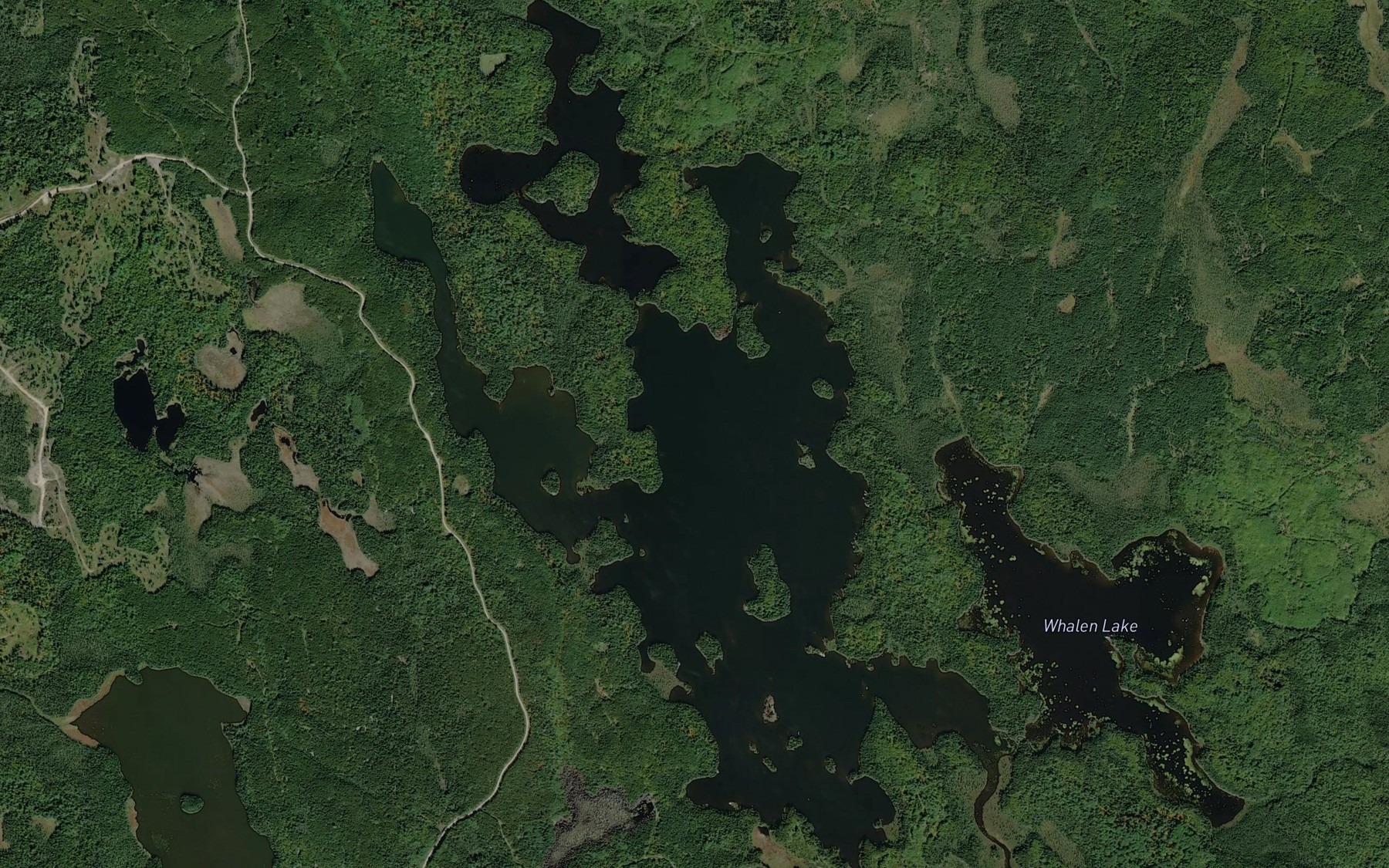 Satellite map of the Flower Lake
