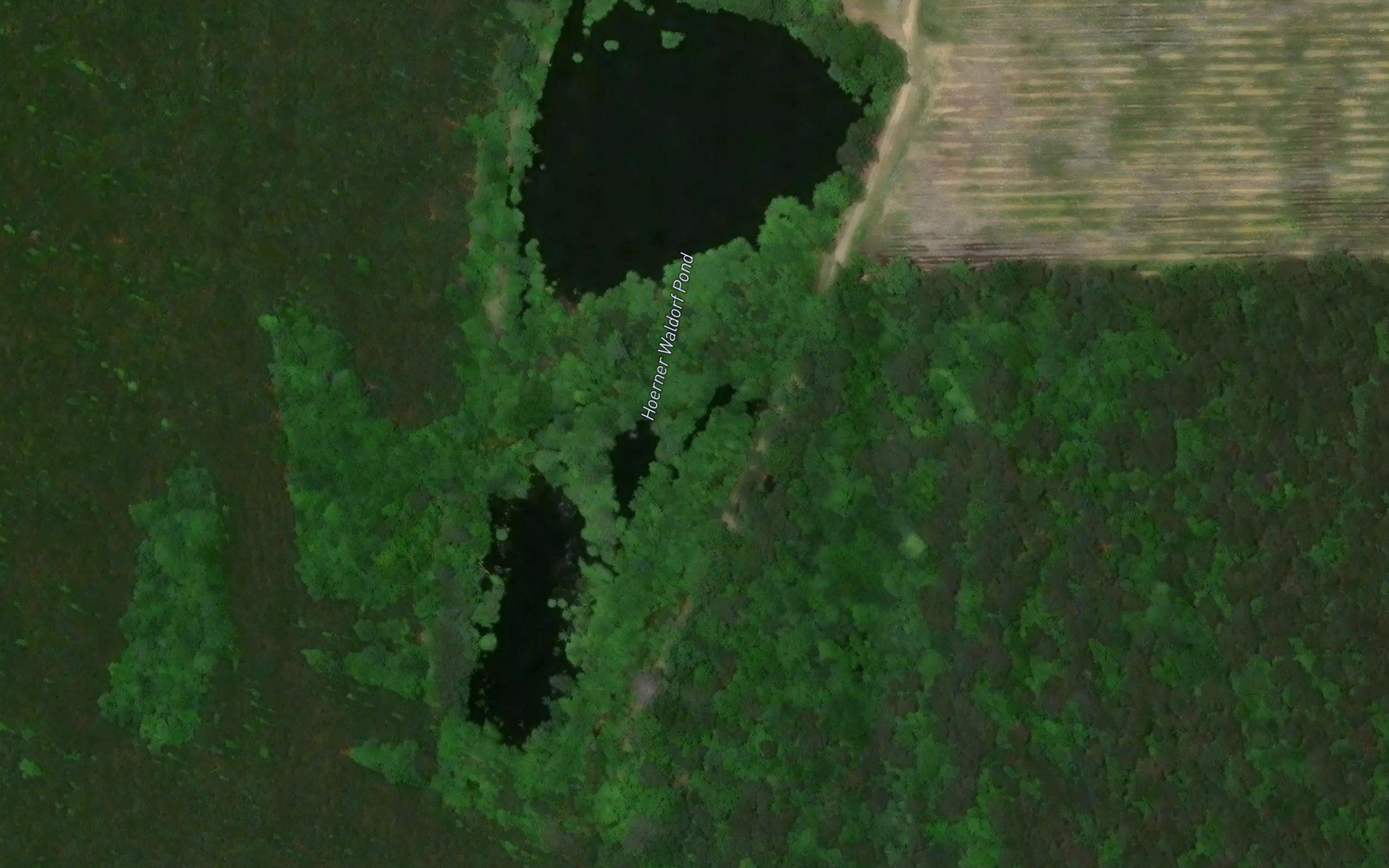 Hoerner Waldorf Pond