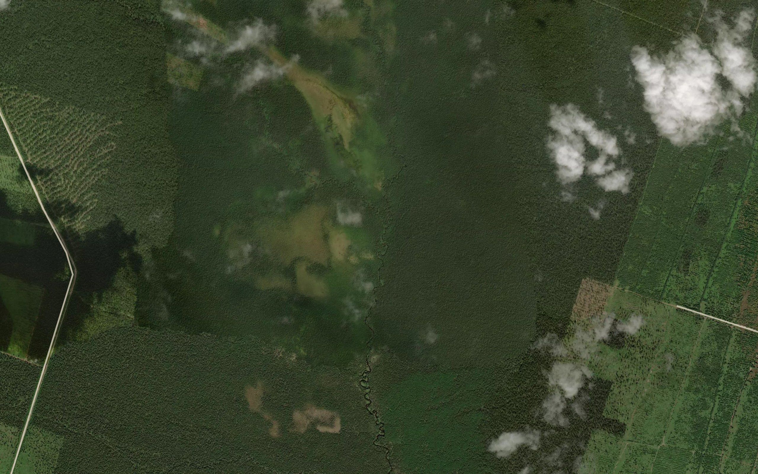 Talaya