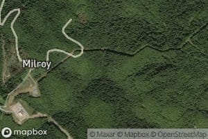 Left Fork Laurel Run