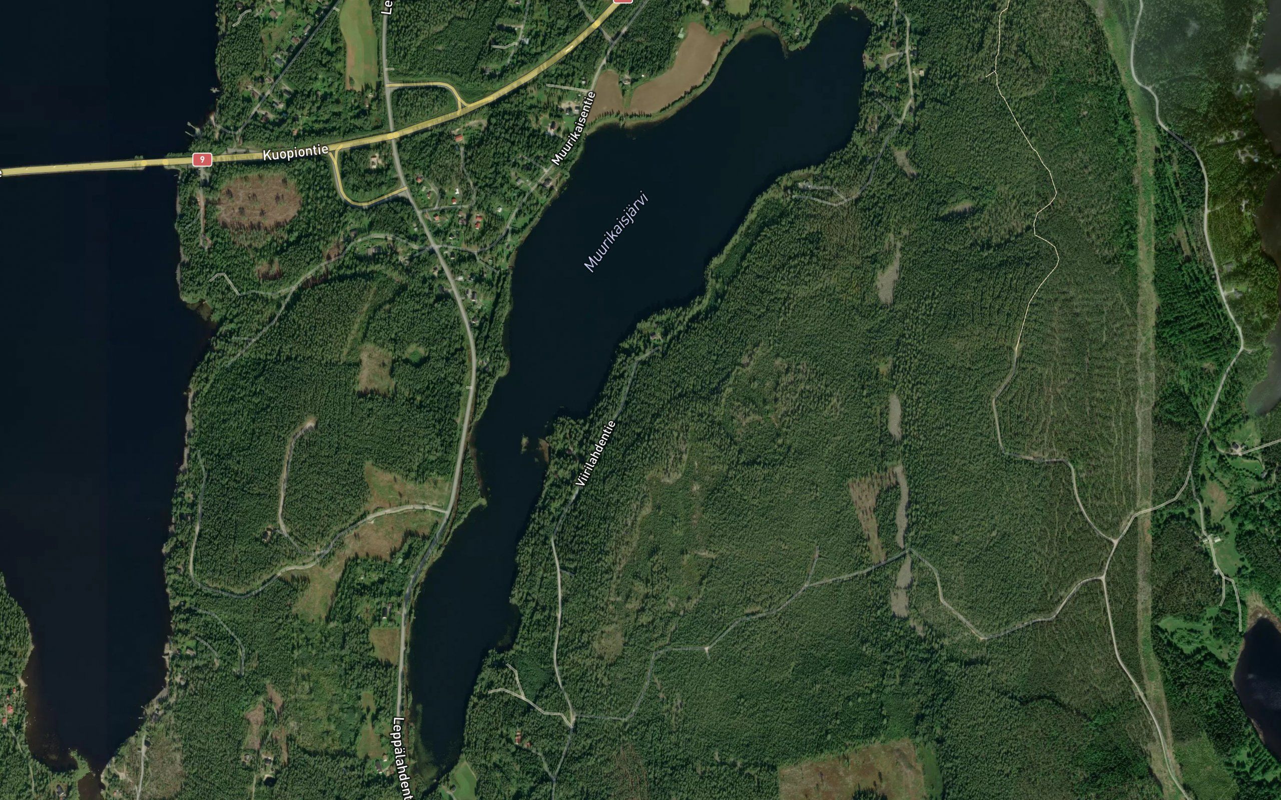 Muurikaisjarvi
