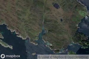 Grunnevagen