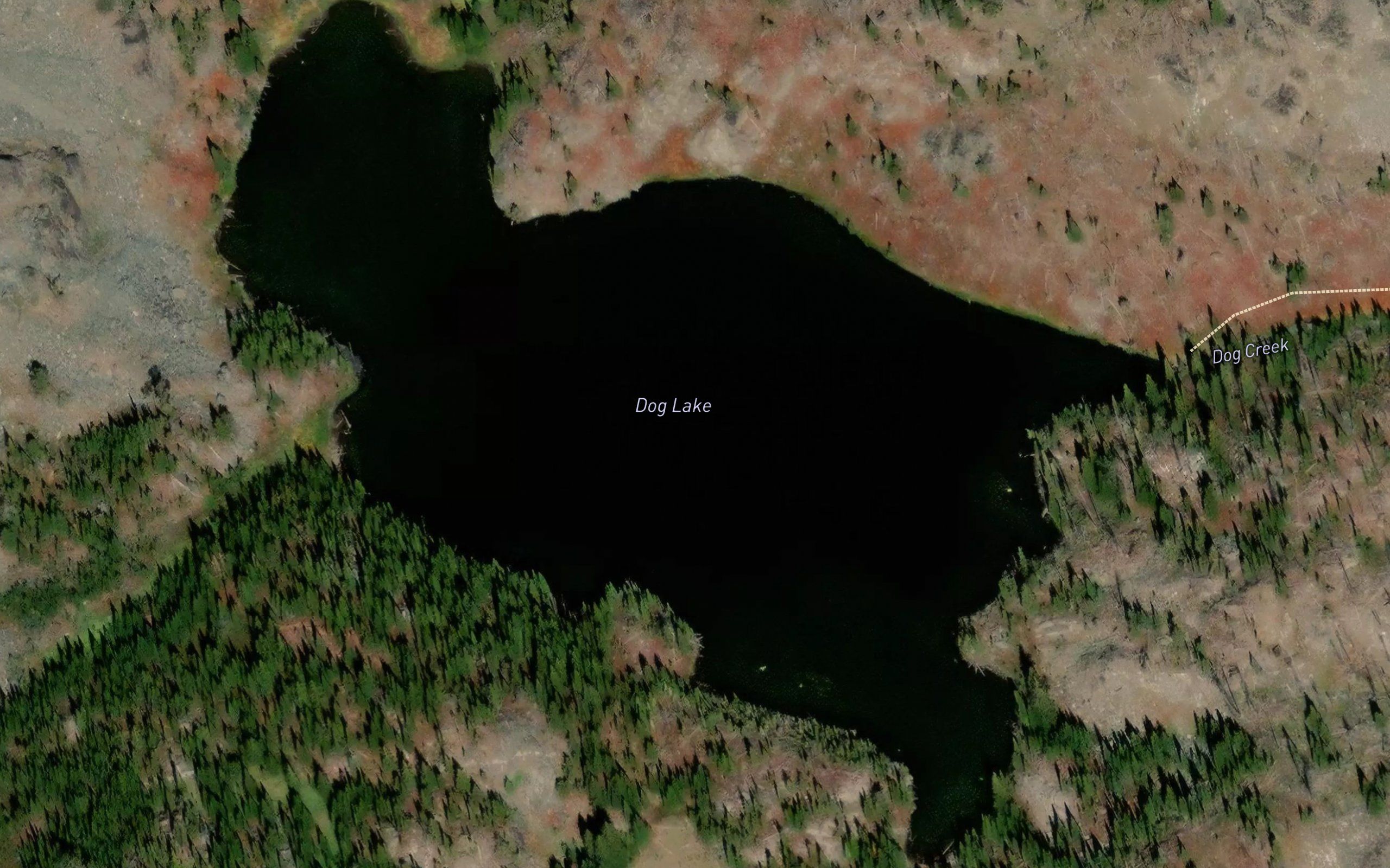 Dog Lake