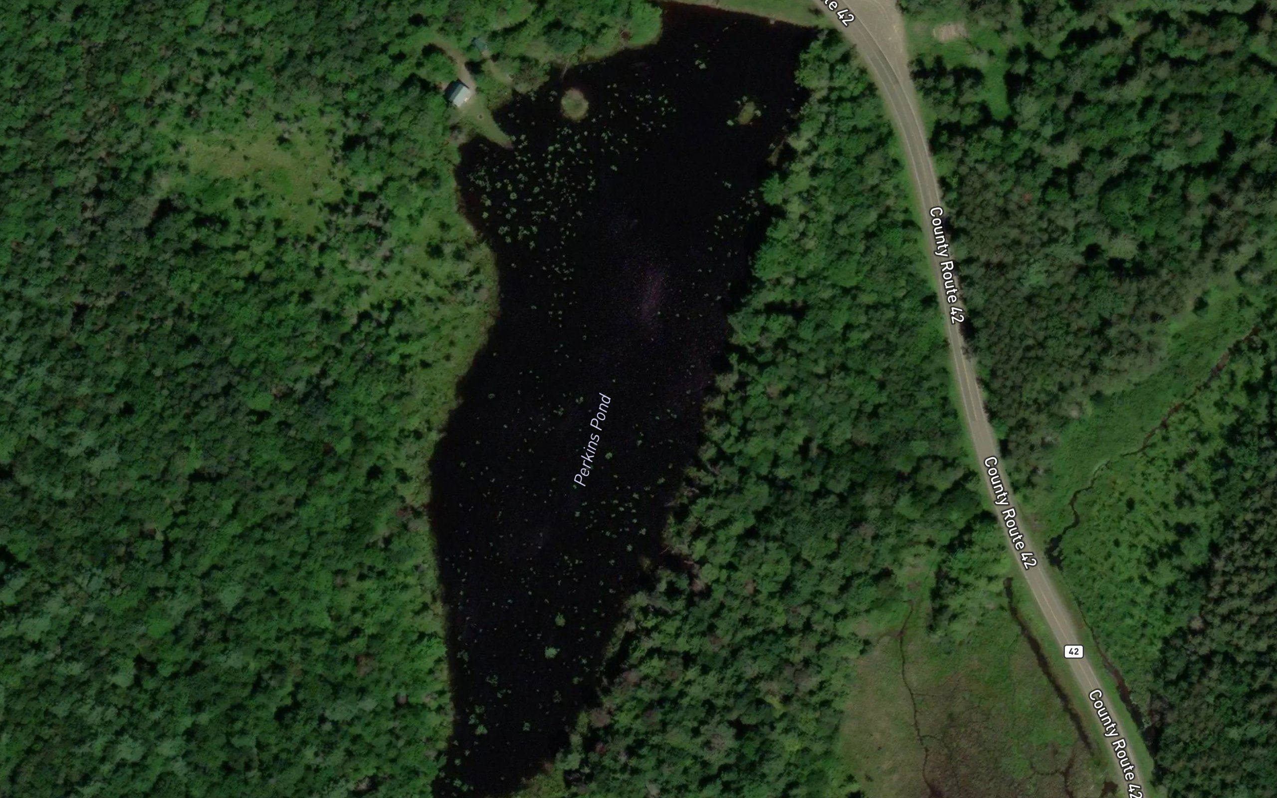 Perkins Pond