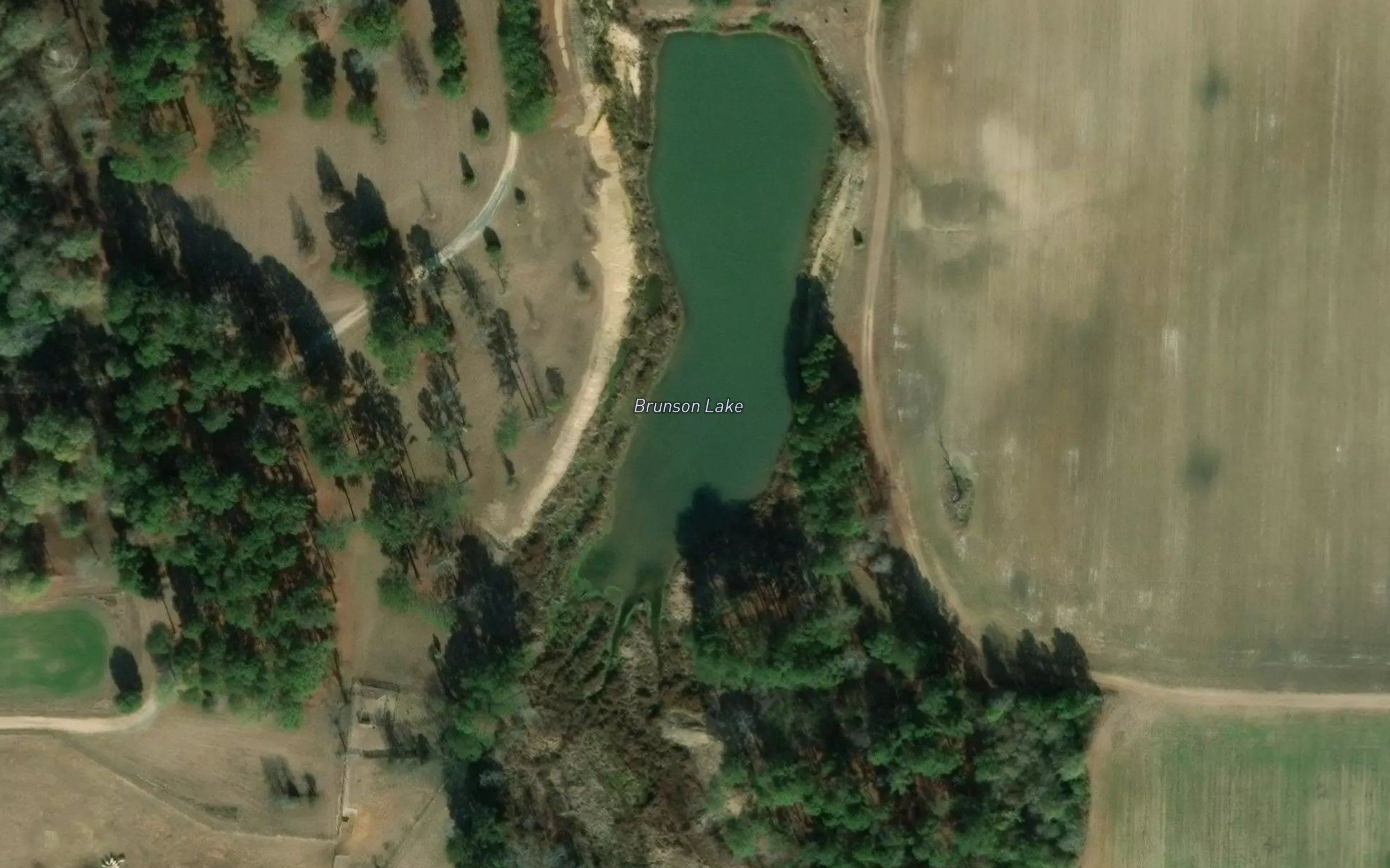Brunson Lake