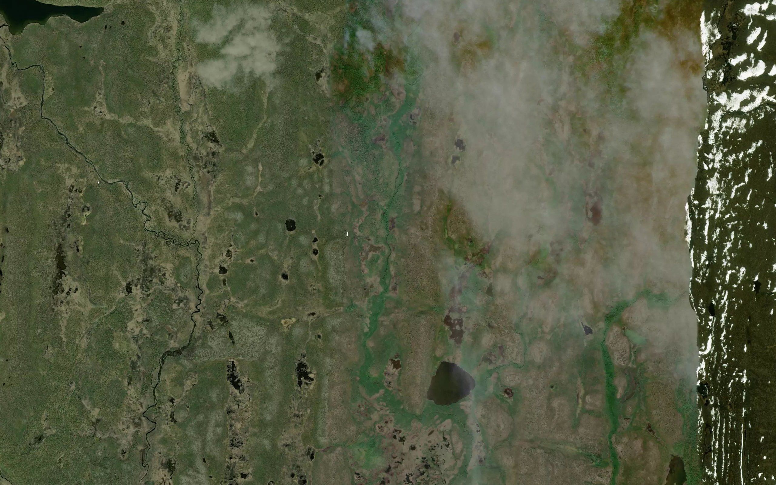 Suonjerjakka