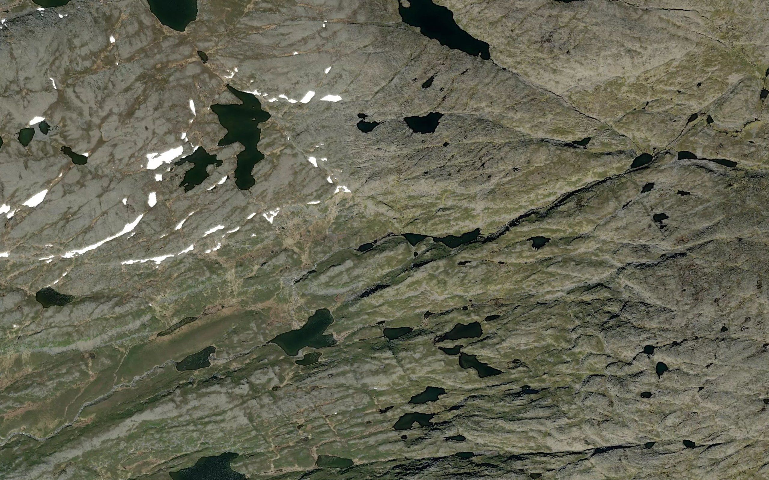Njunnusjakka