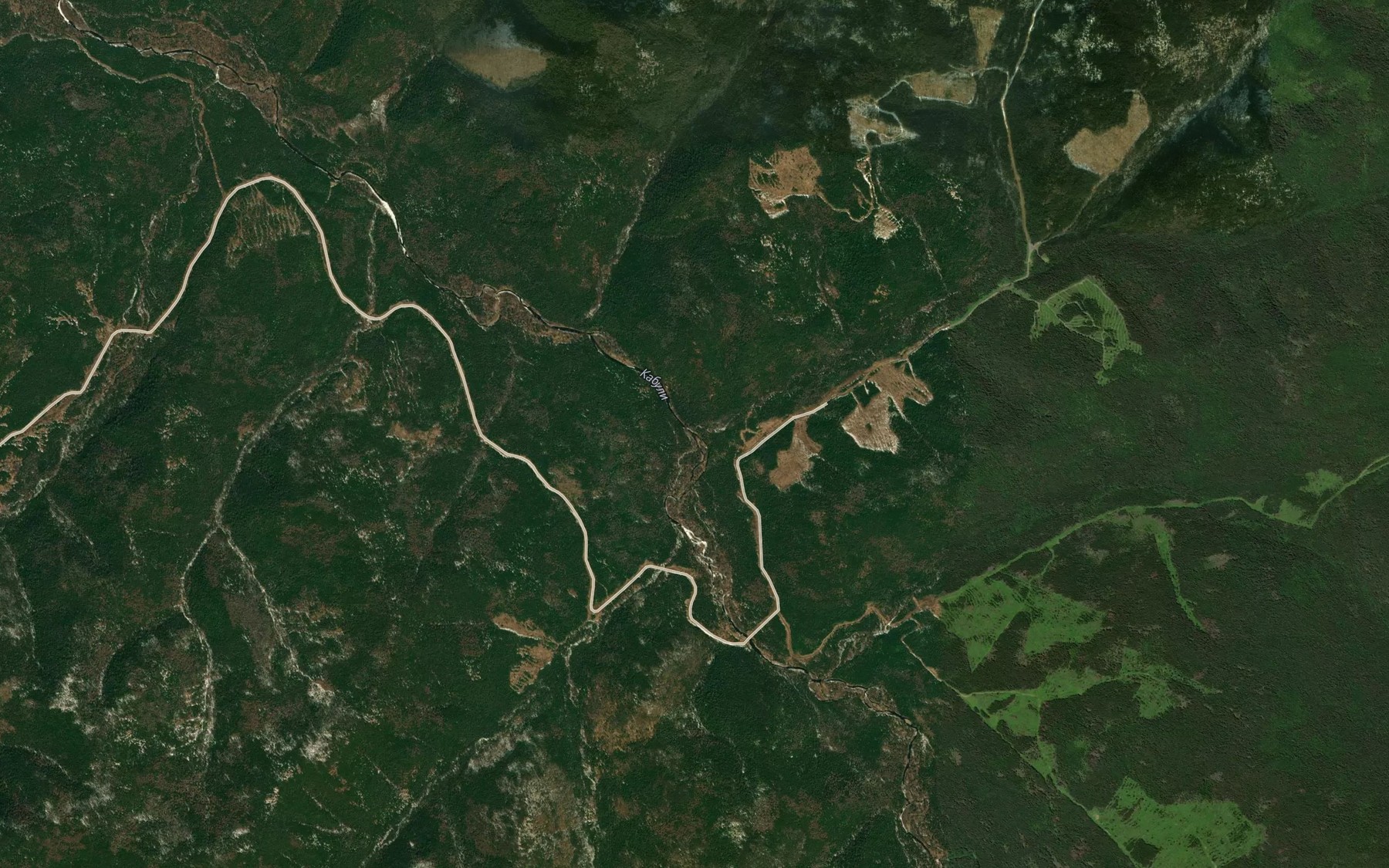 Satellite map of the Pikhtovyy