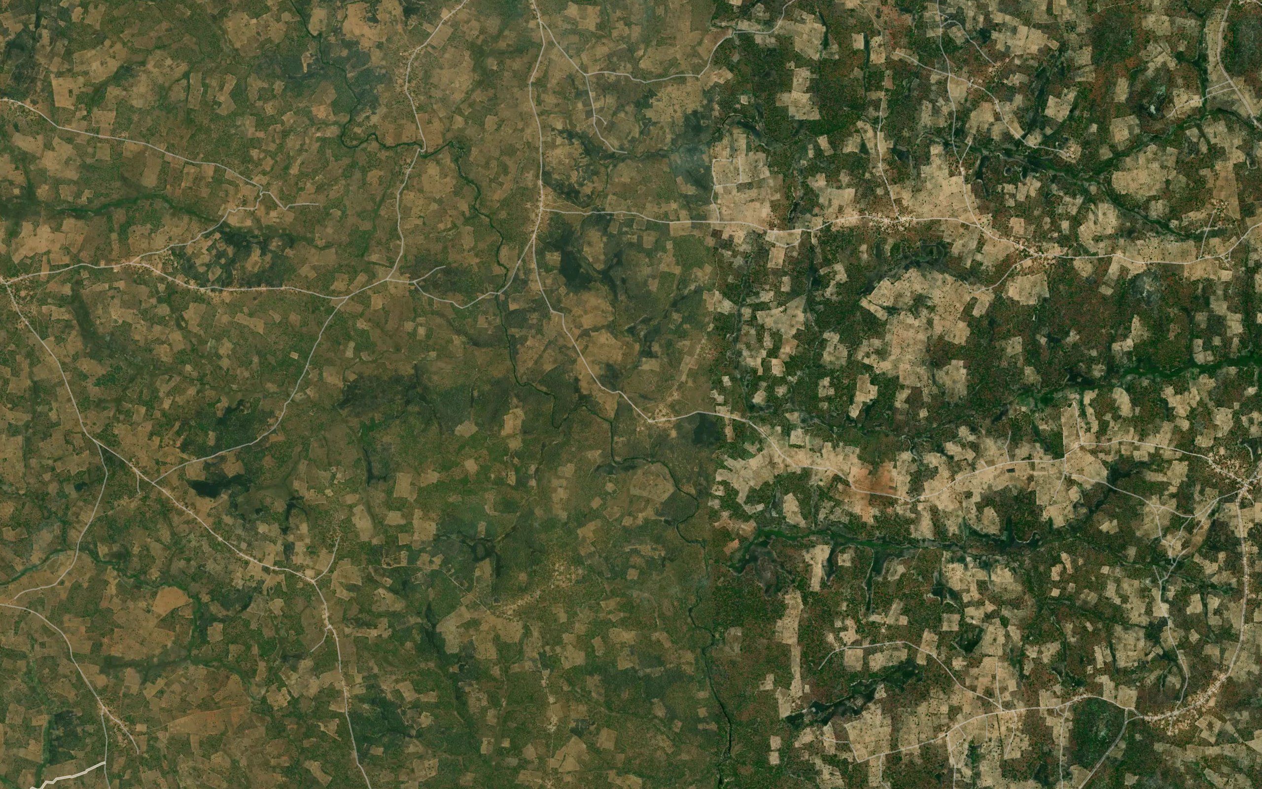 Palangua