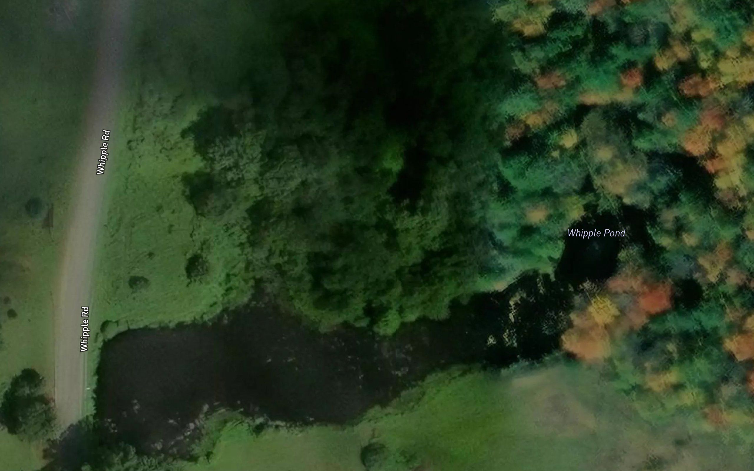 Whipple Pond