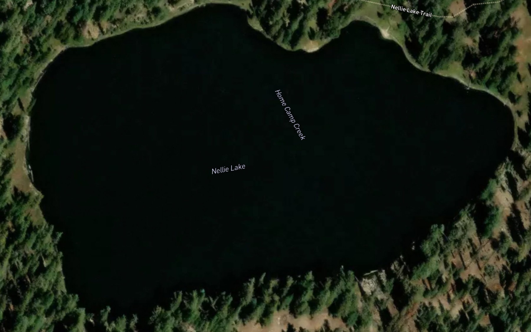 Satellite map of the Nellie Lake