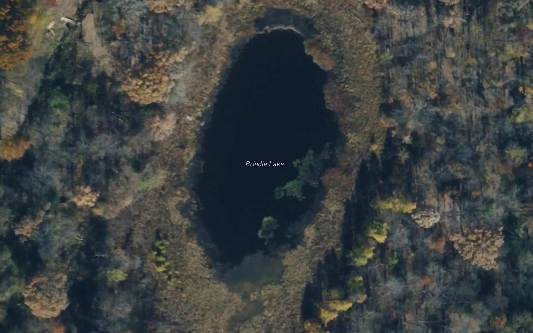 Satellite map of the Brindle Lake