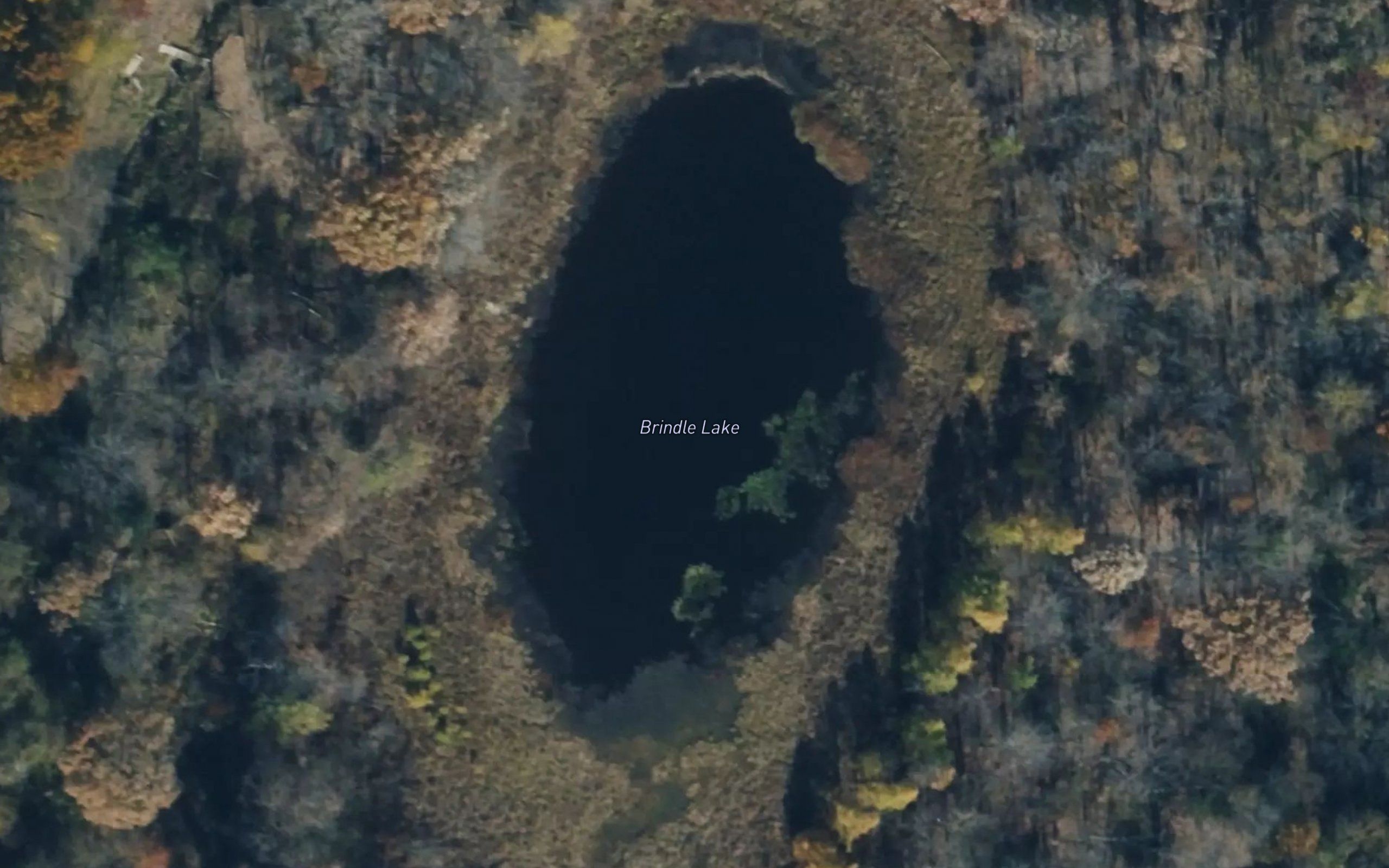 Brindle Lake