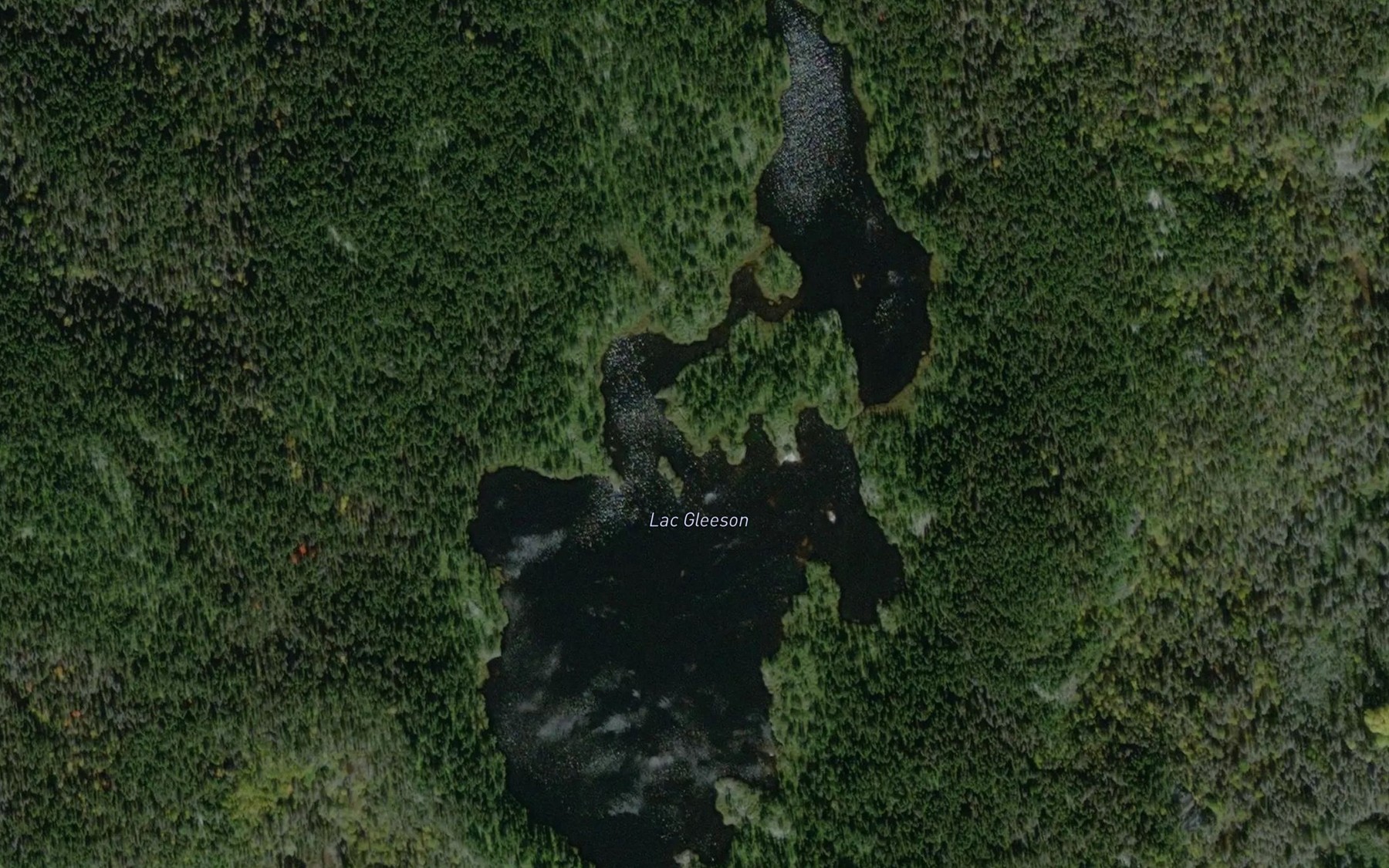 Satellite map of the Lac Gleeson