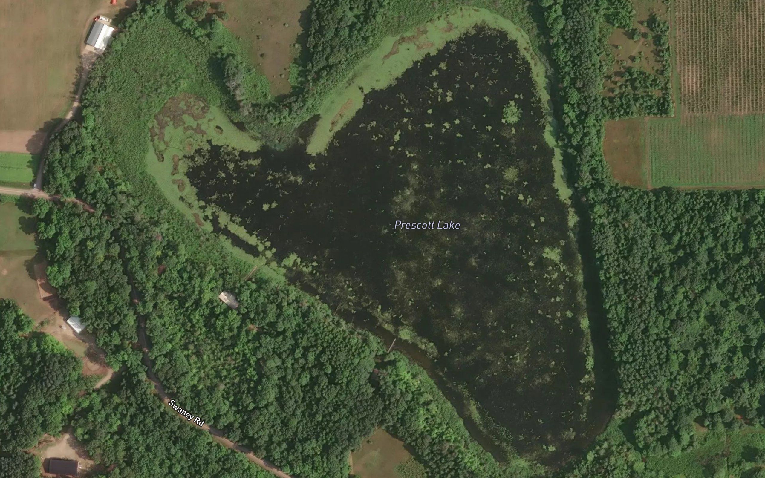 Prescott Lake