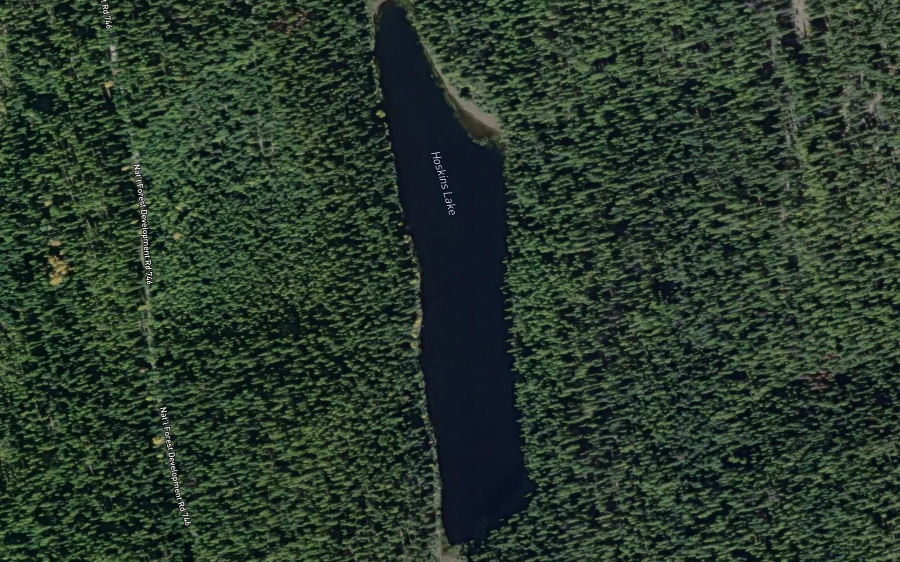 Satellite map of the Hoskins Lake