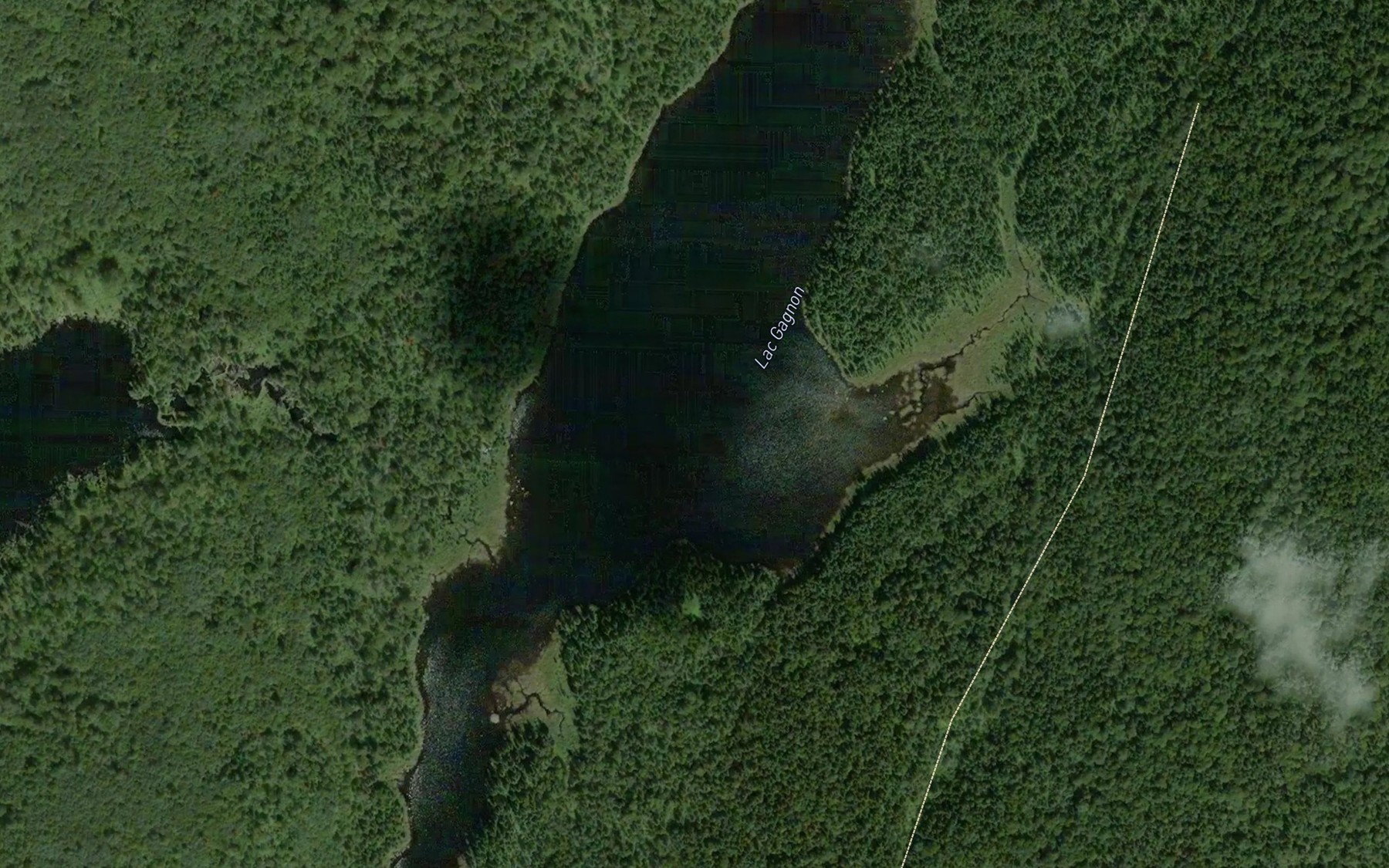 Satellite map of the Lac Gagnon