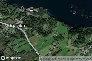 Ojavikloken