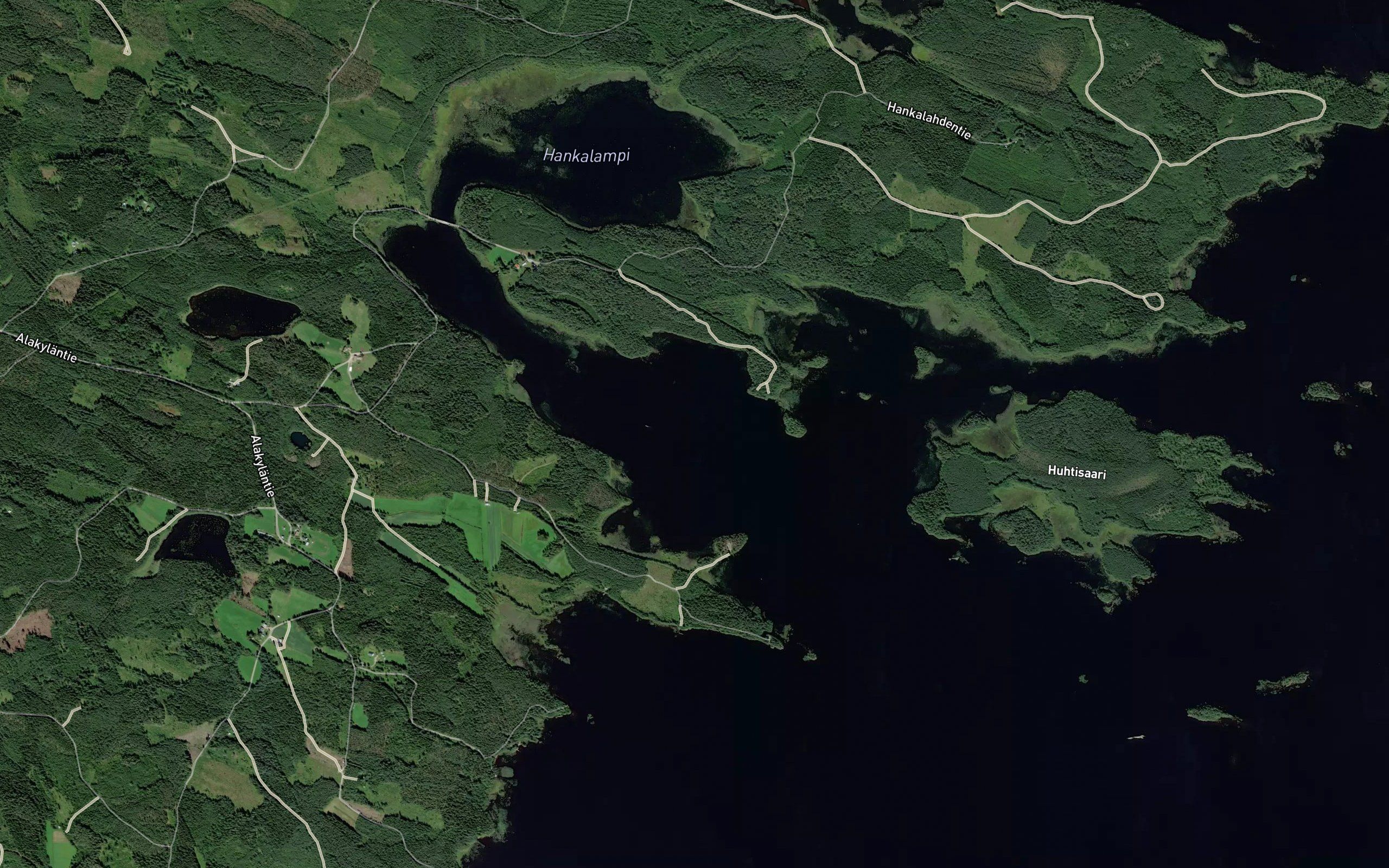 Hankalahti