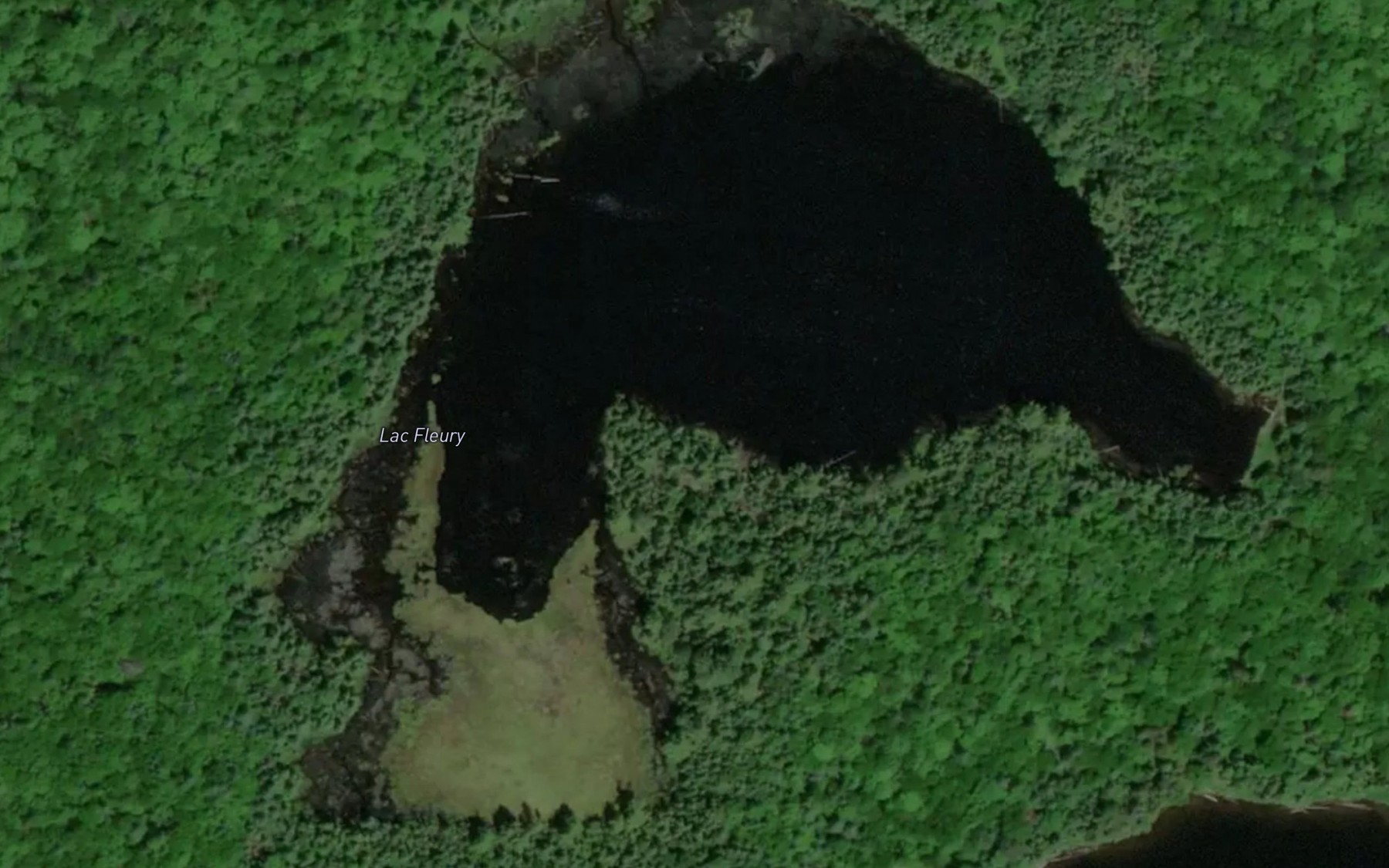 Satellite map of the Lac Fleury
