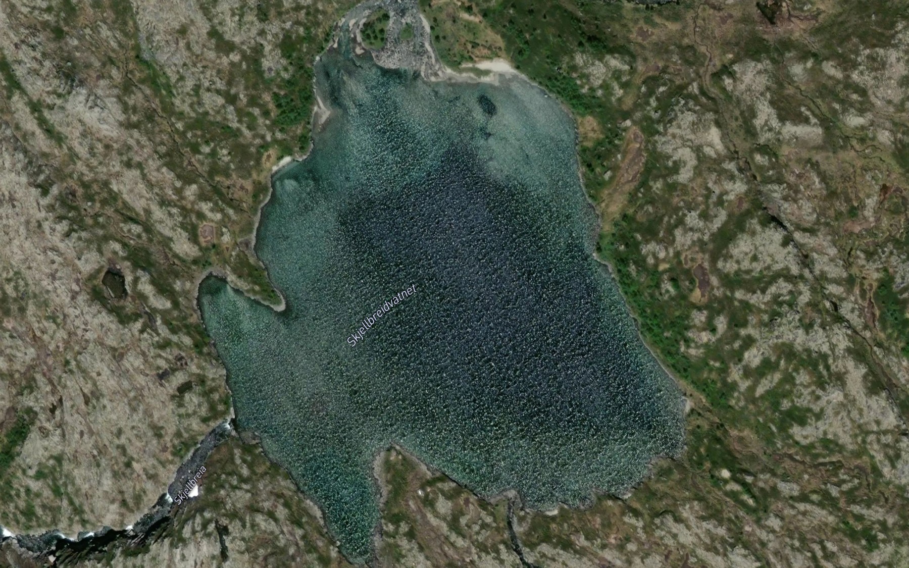 Satellite map of the Skjellbreidvatnet