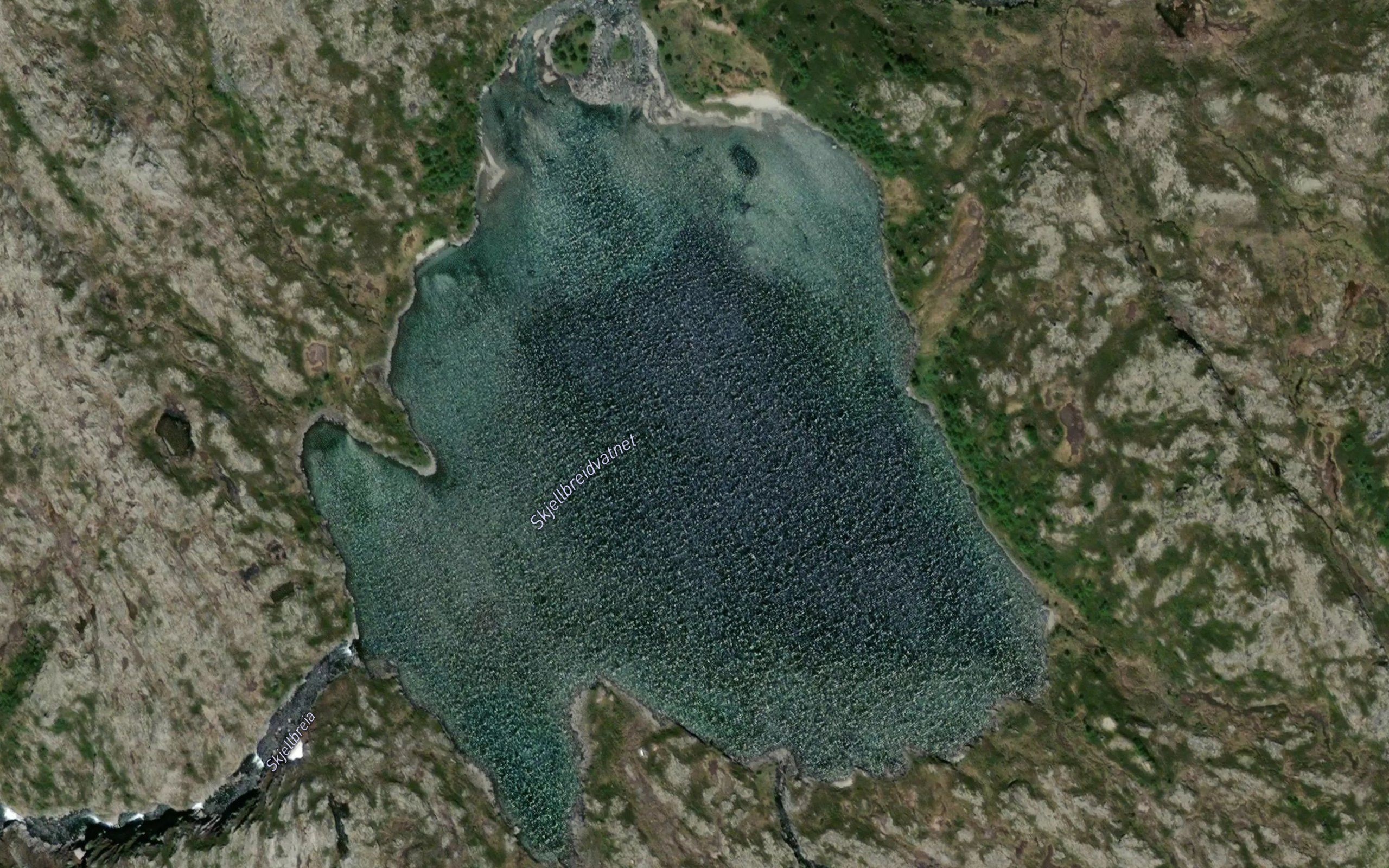 Skjellbreidvatnet