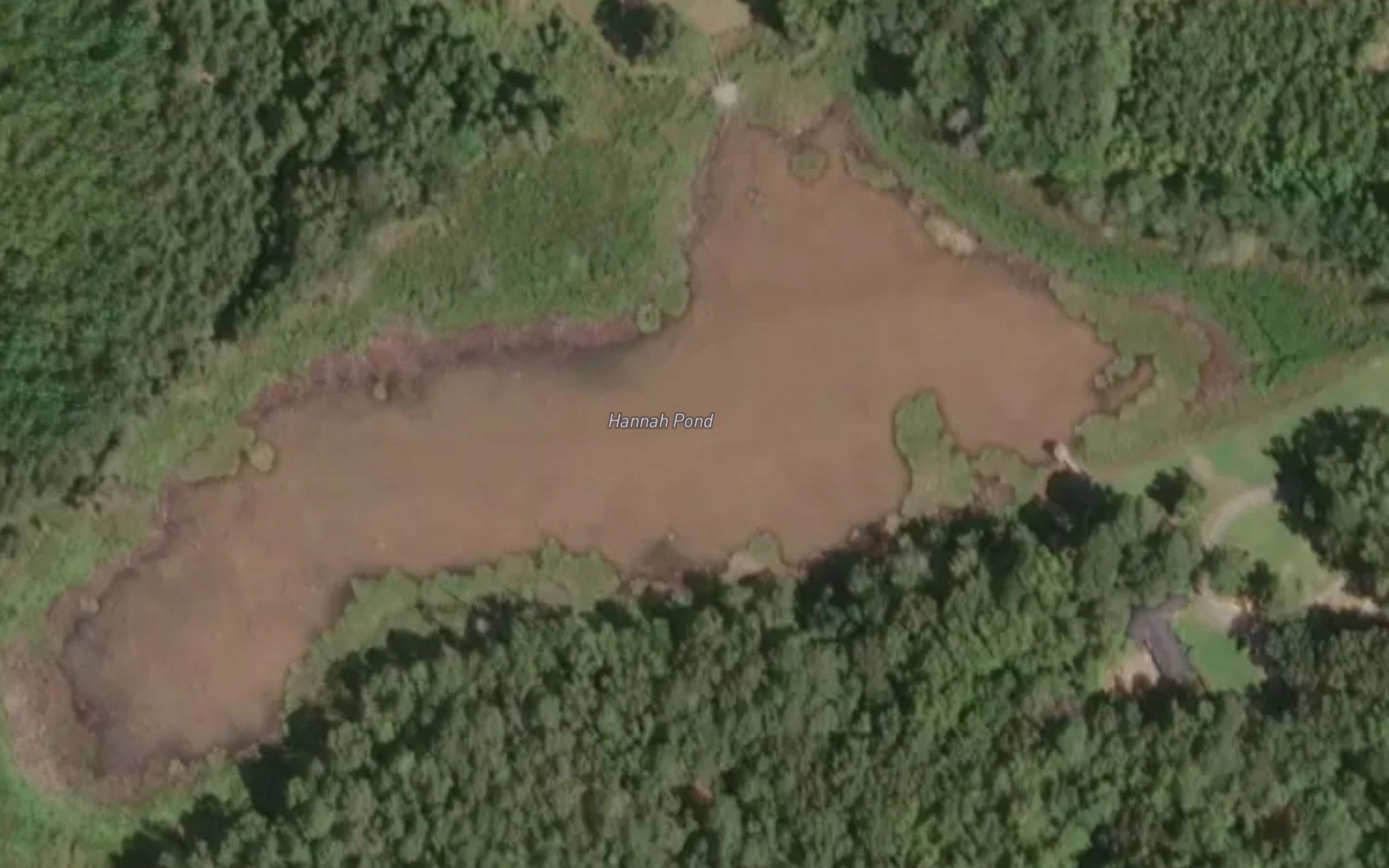 Hannah Pond
