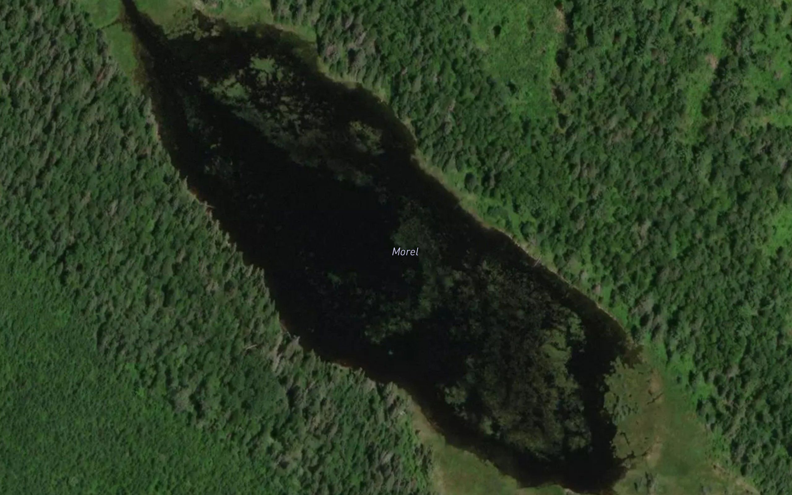 Lac Morel