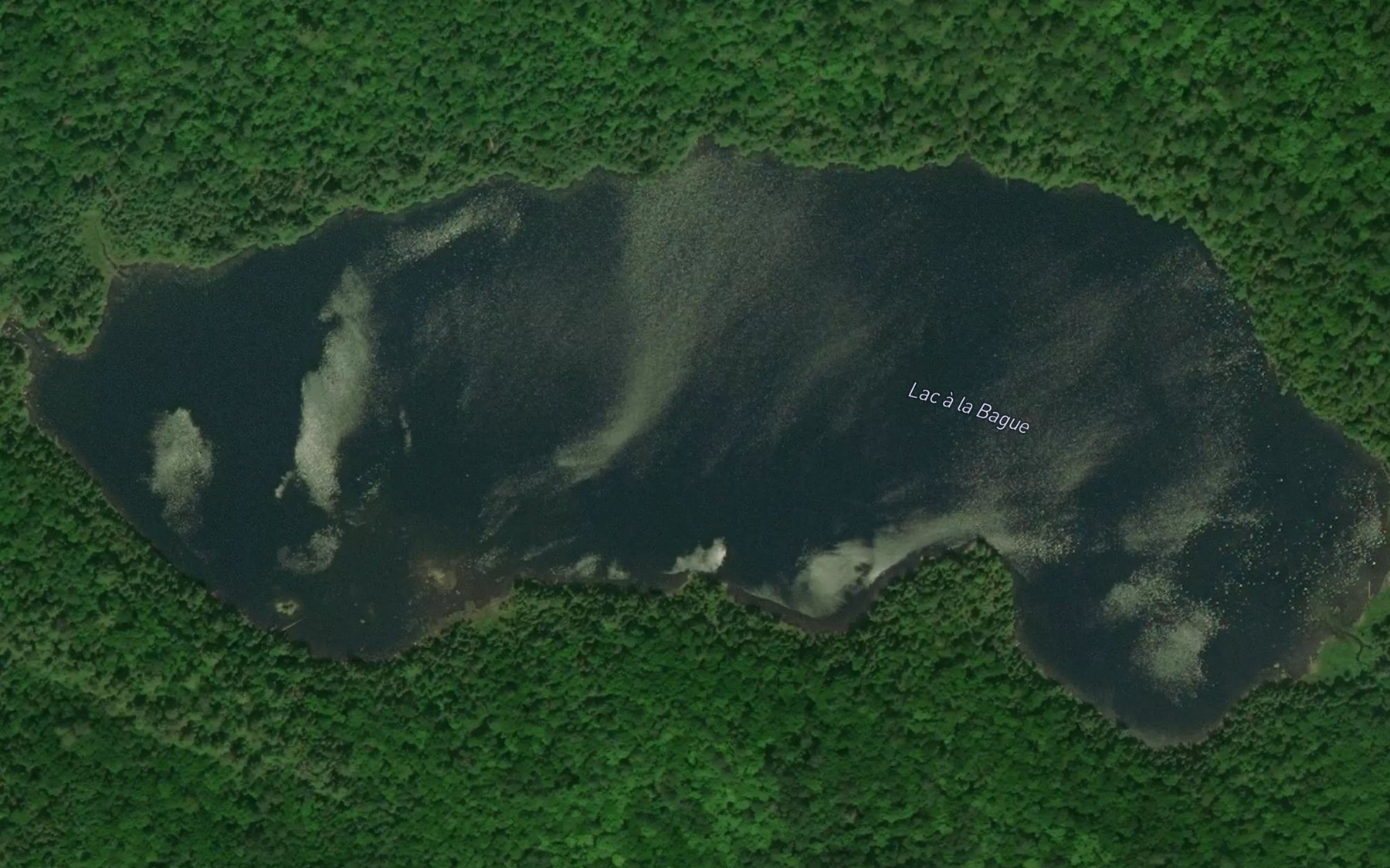 Satellite map of the Lac a la Bague