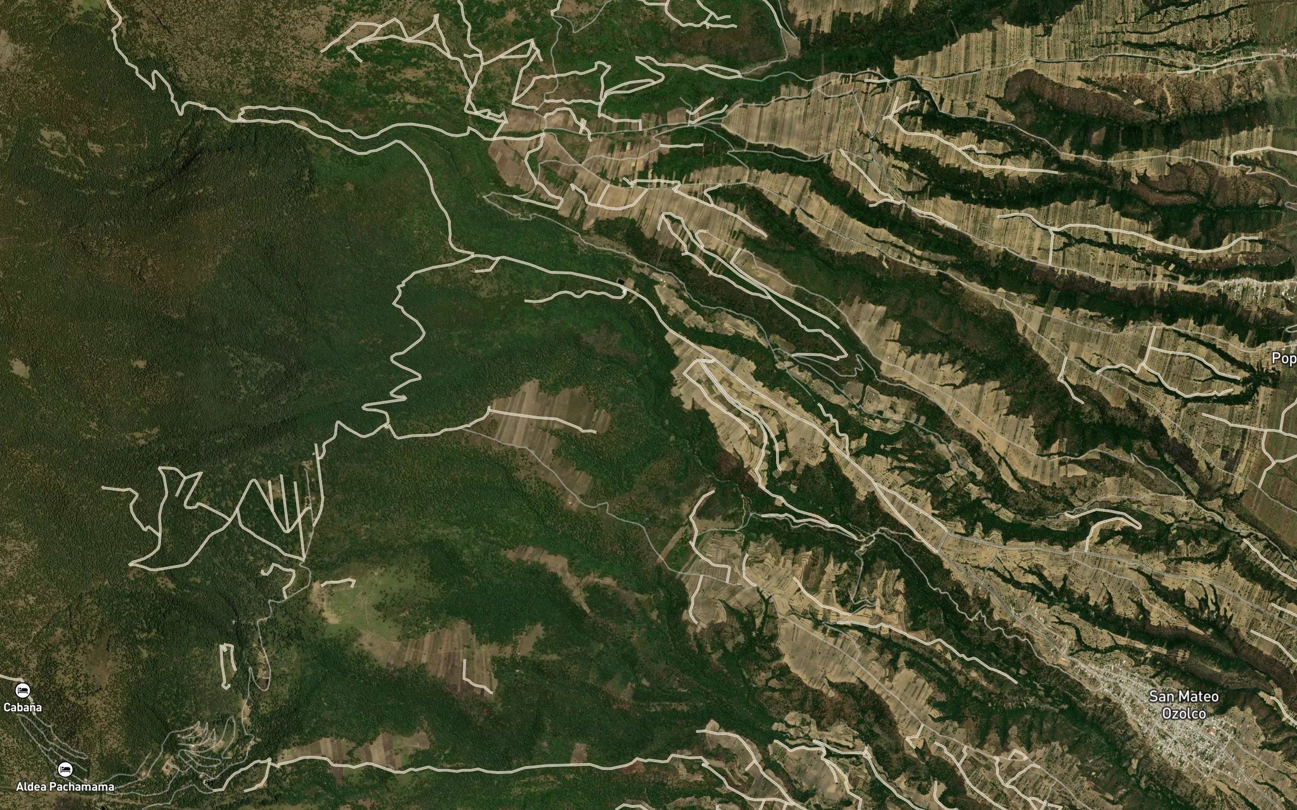 Nextlacutla