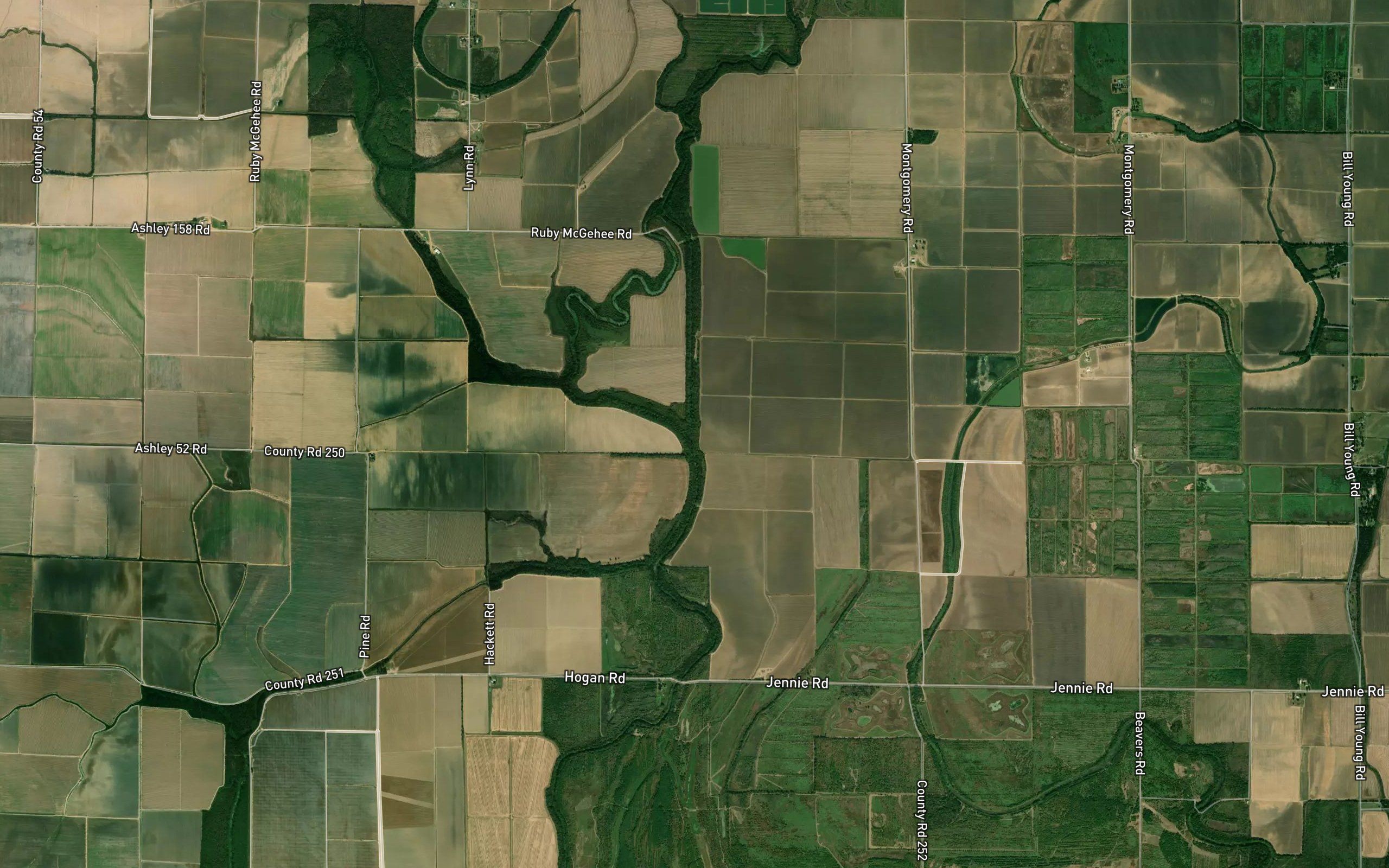 Dry Bayou