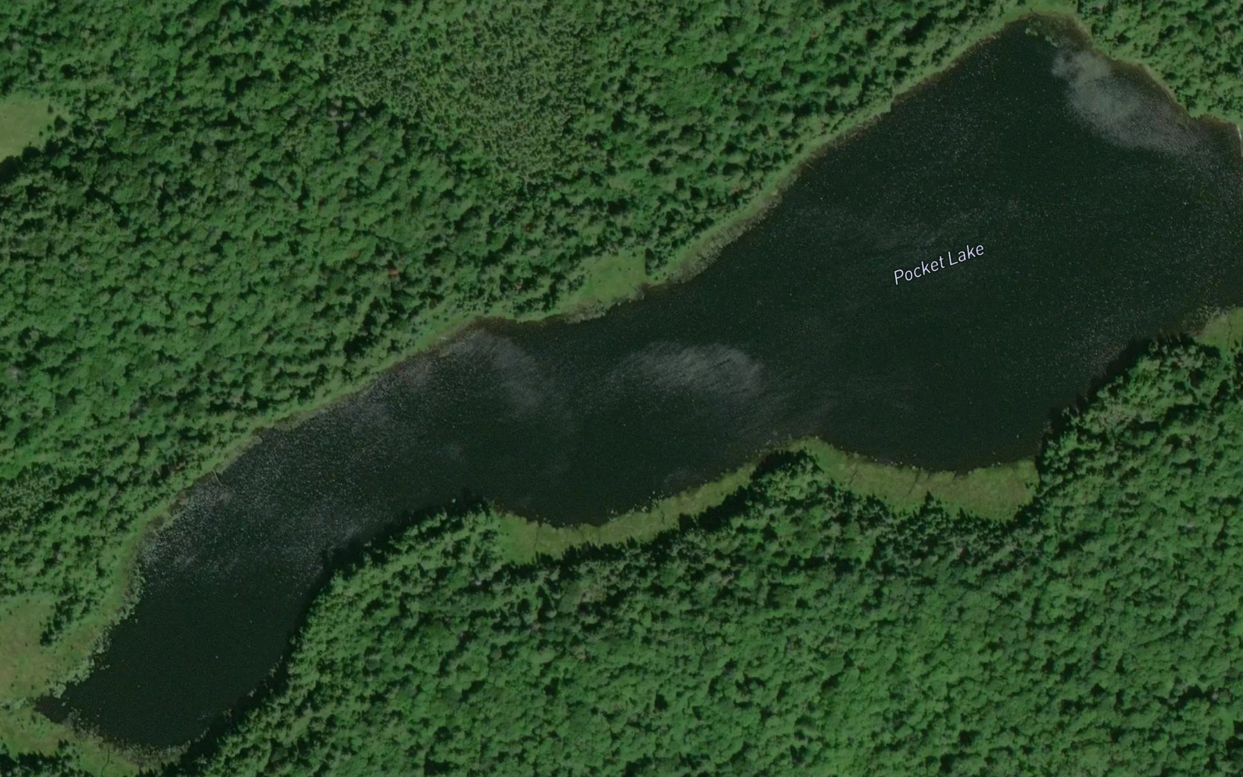 Satellite map of the Pocket Lake