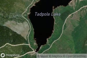 Tadpole Lake