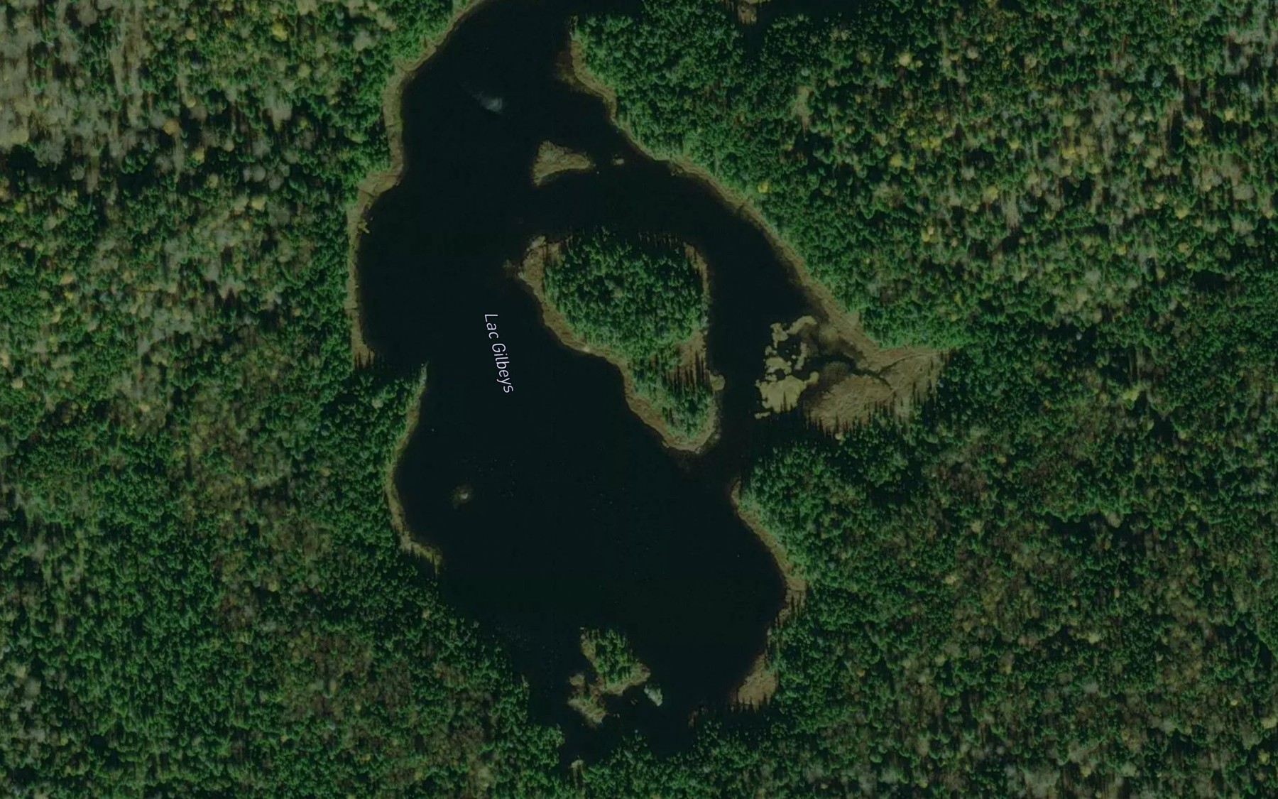 Satellite map of the Lac Gilbeys