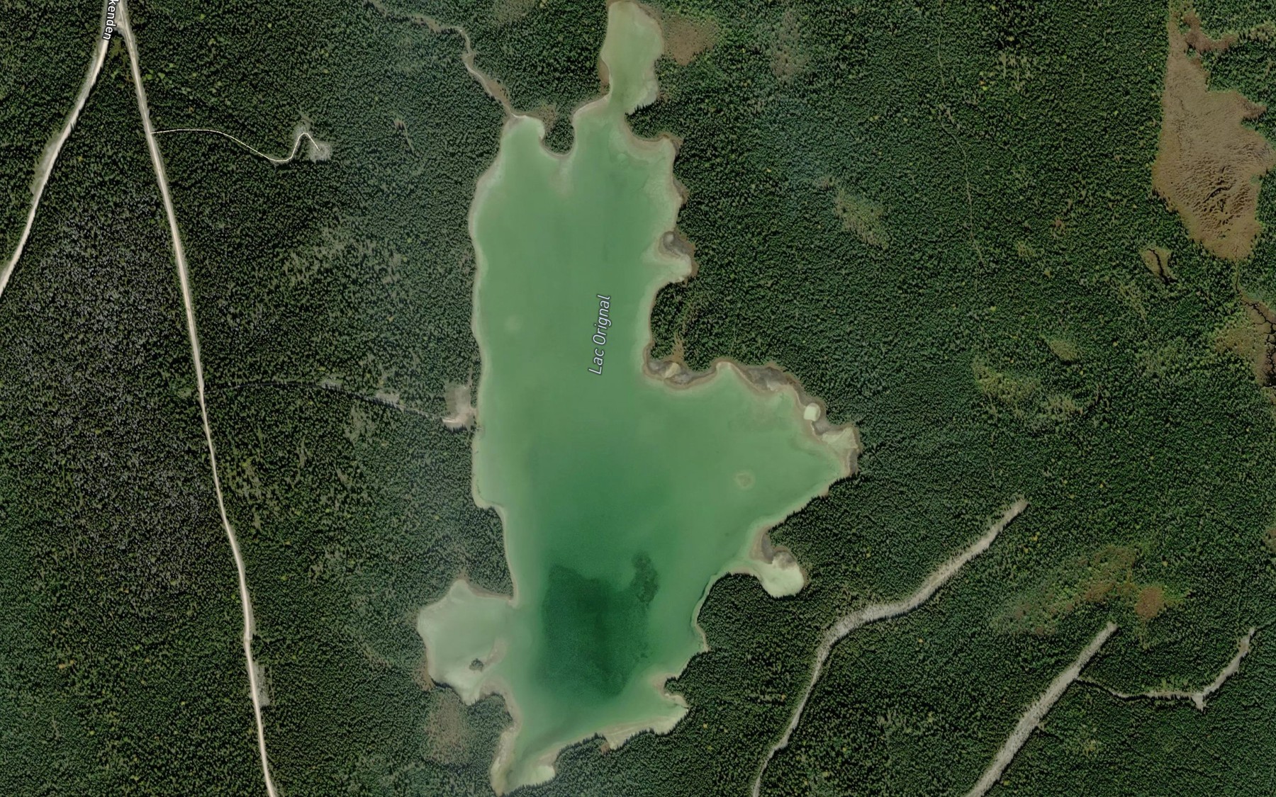 Satellite map of the Lac Orignal