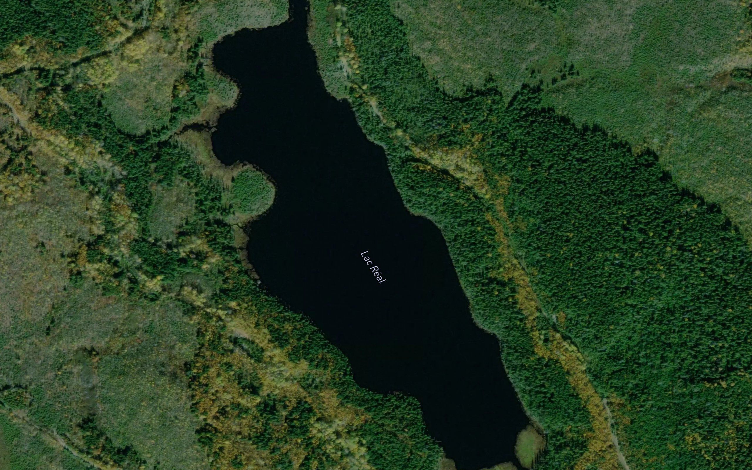 Lac Real