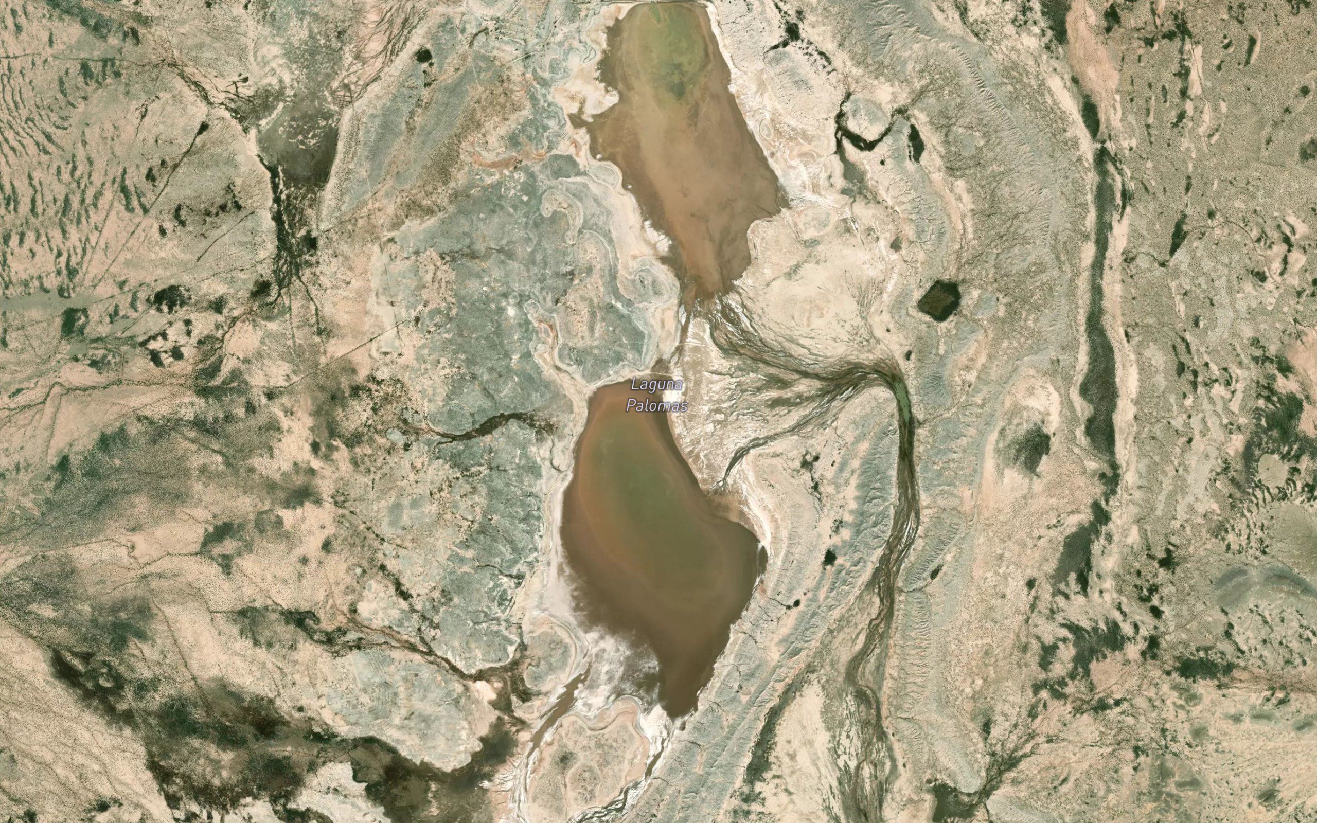 Laguna de Palomas