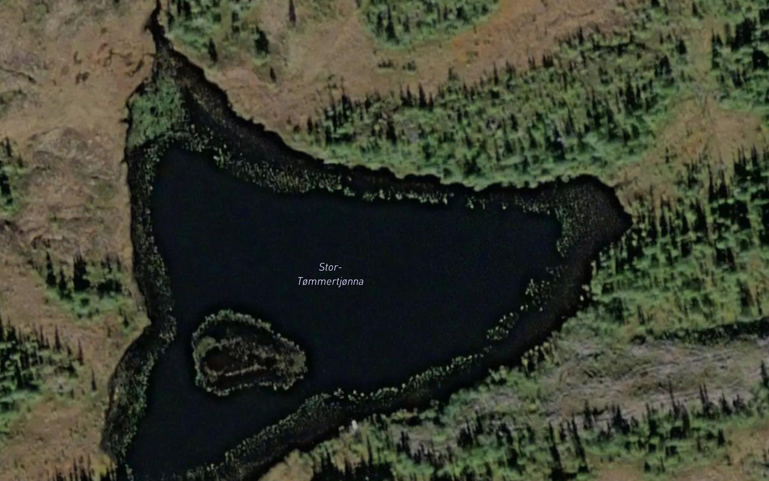 Stor-Tommertjonna