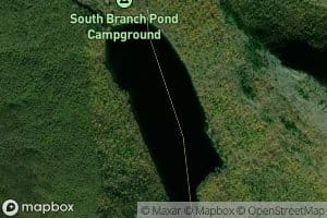 Lower South Branch Pond