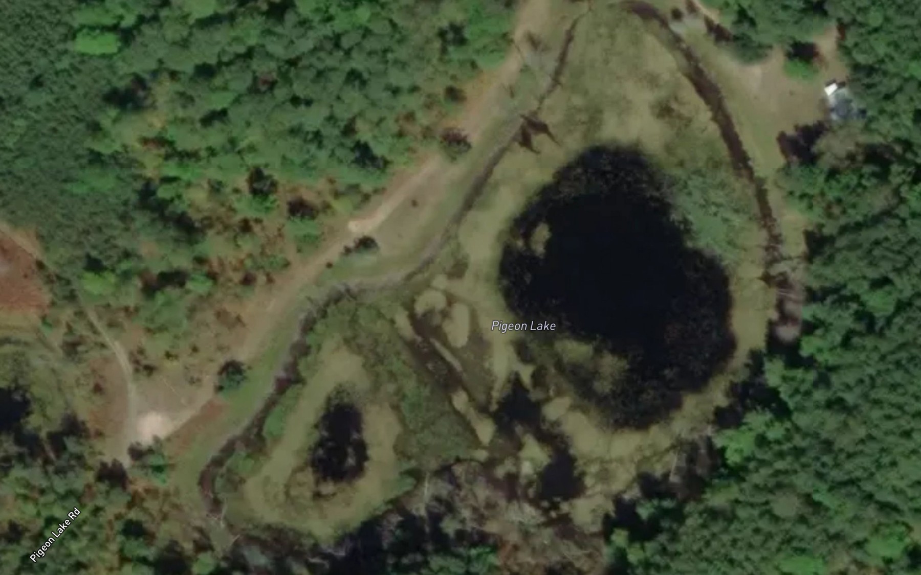 Satellite map of the Pigeon Lake